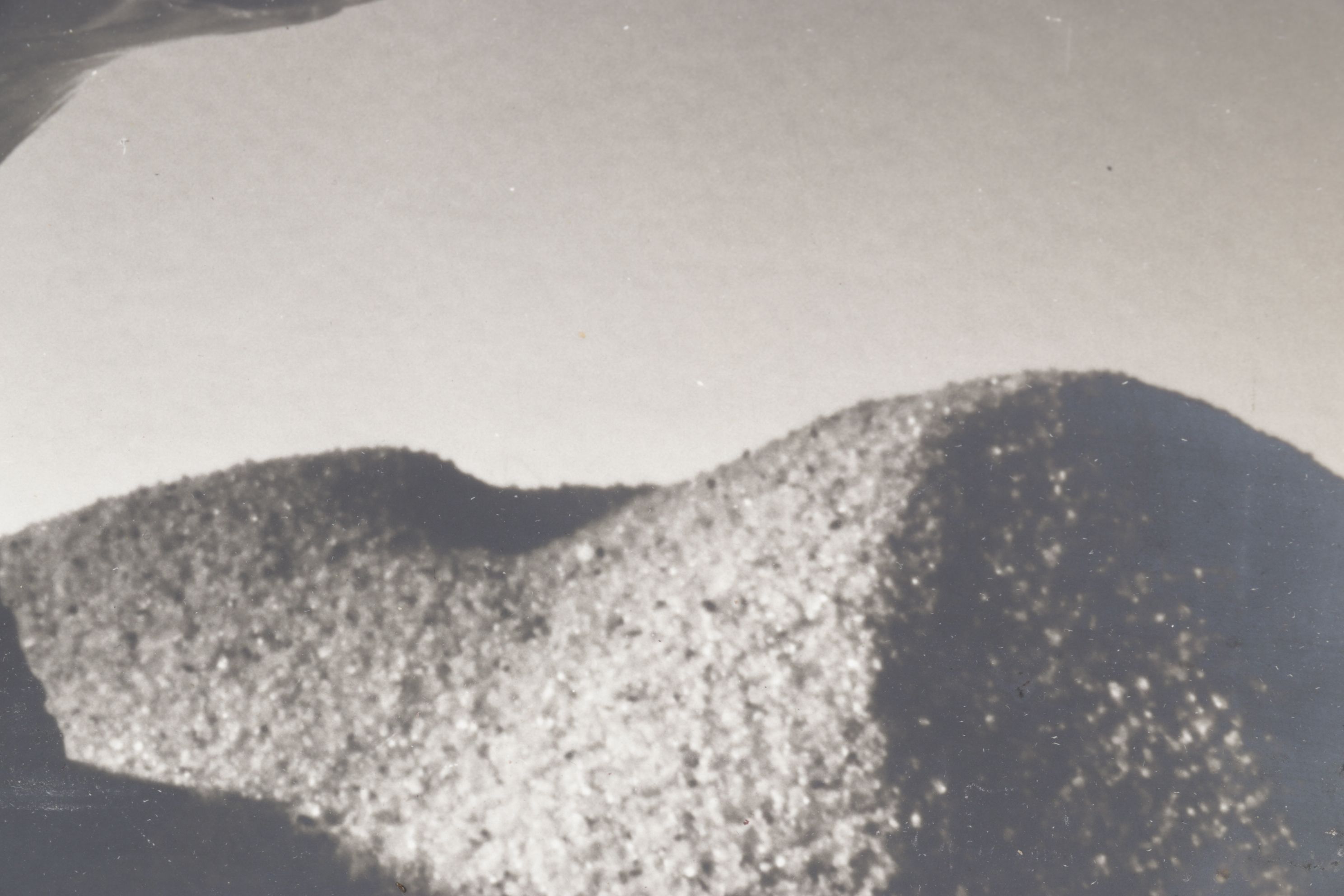 Ruth Bernhard Silver Gelatin Still Life Photograph of Spiral Seashell