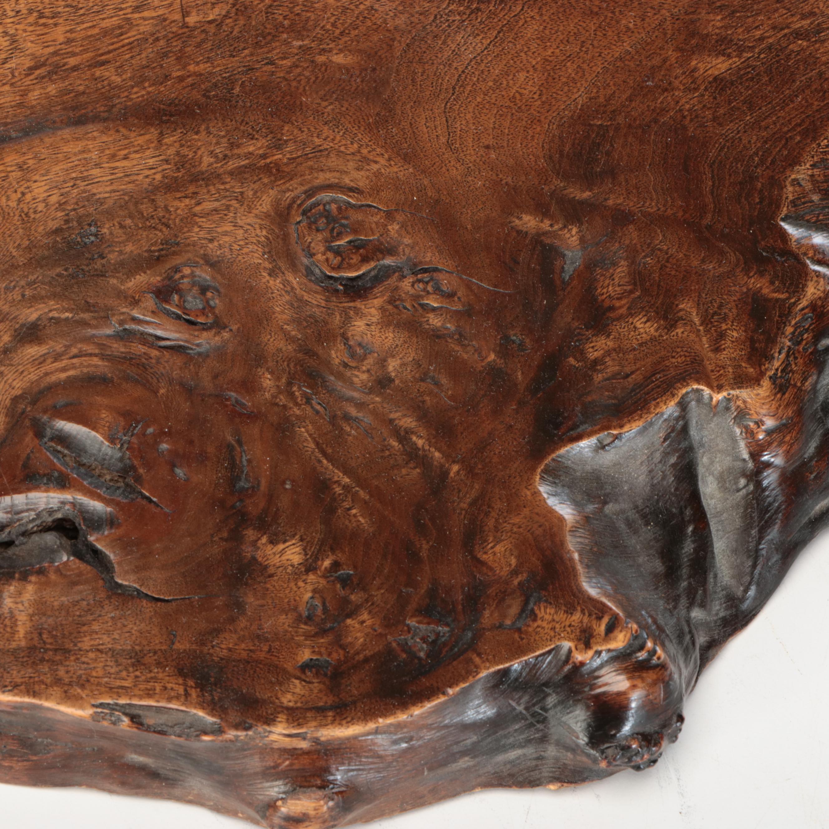 Live Edge Lacquered Wood Slab Wall Décor