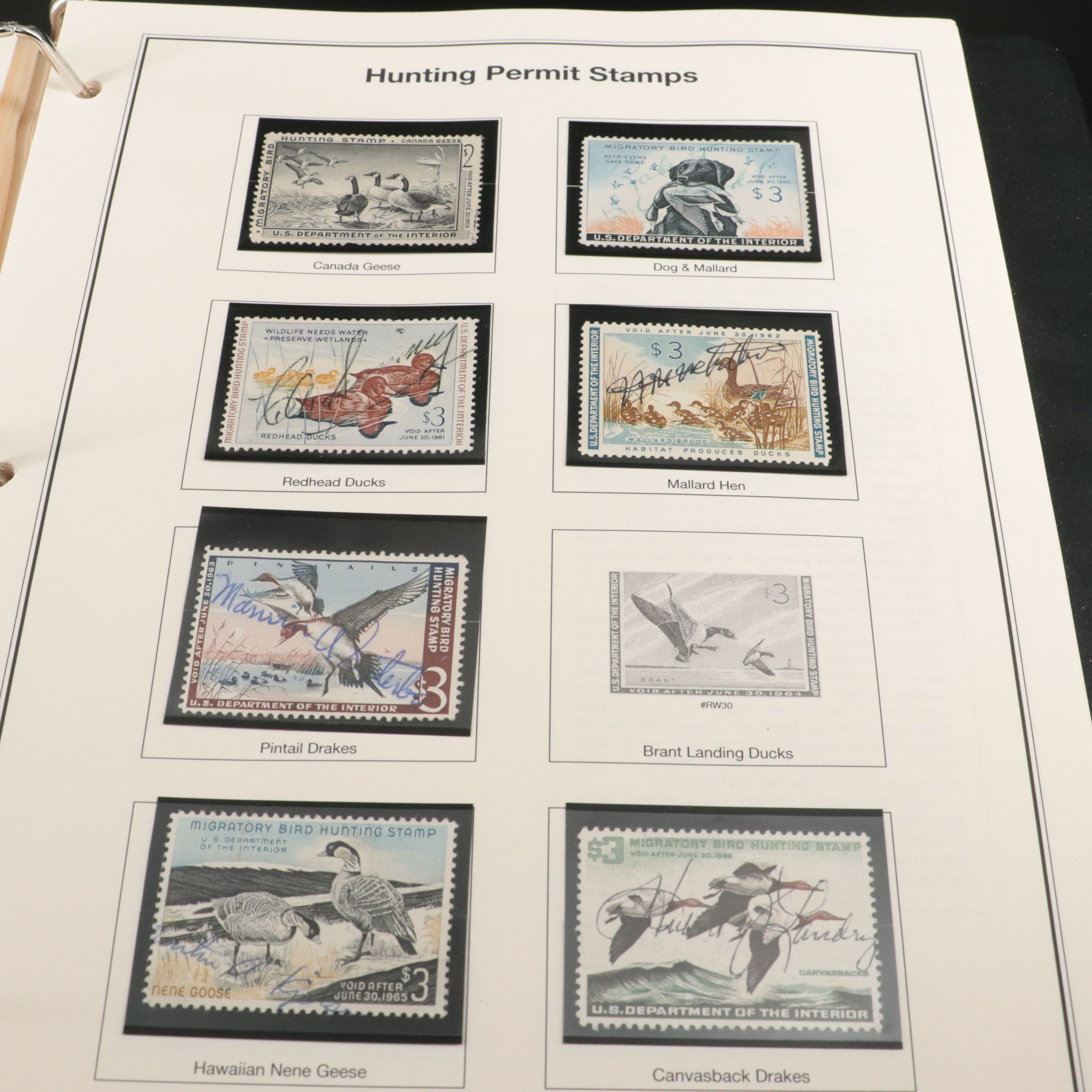 Two U.S. Postage Stamp Albums, Back of the Book and Proprietary Revenue Stamps