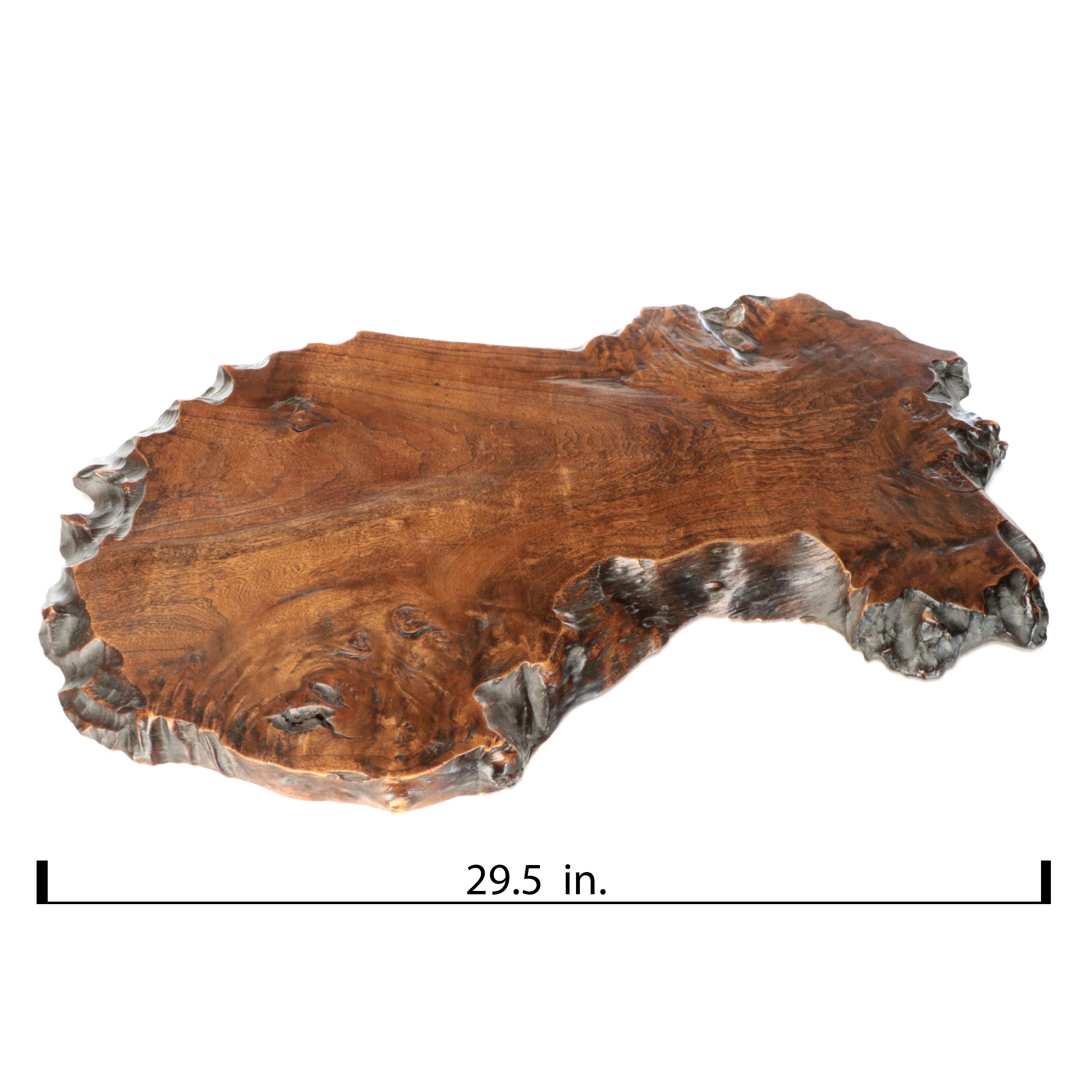 Live Edge Lacquered Wood Slab Wall Décor