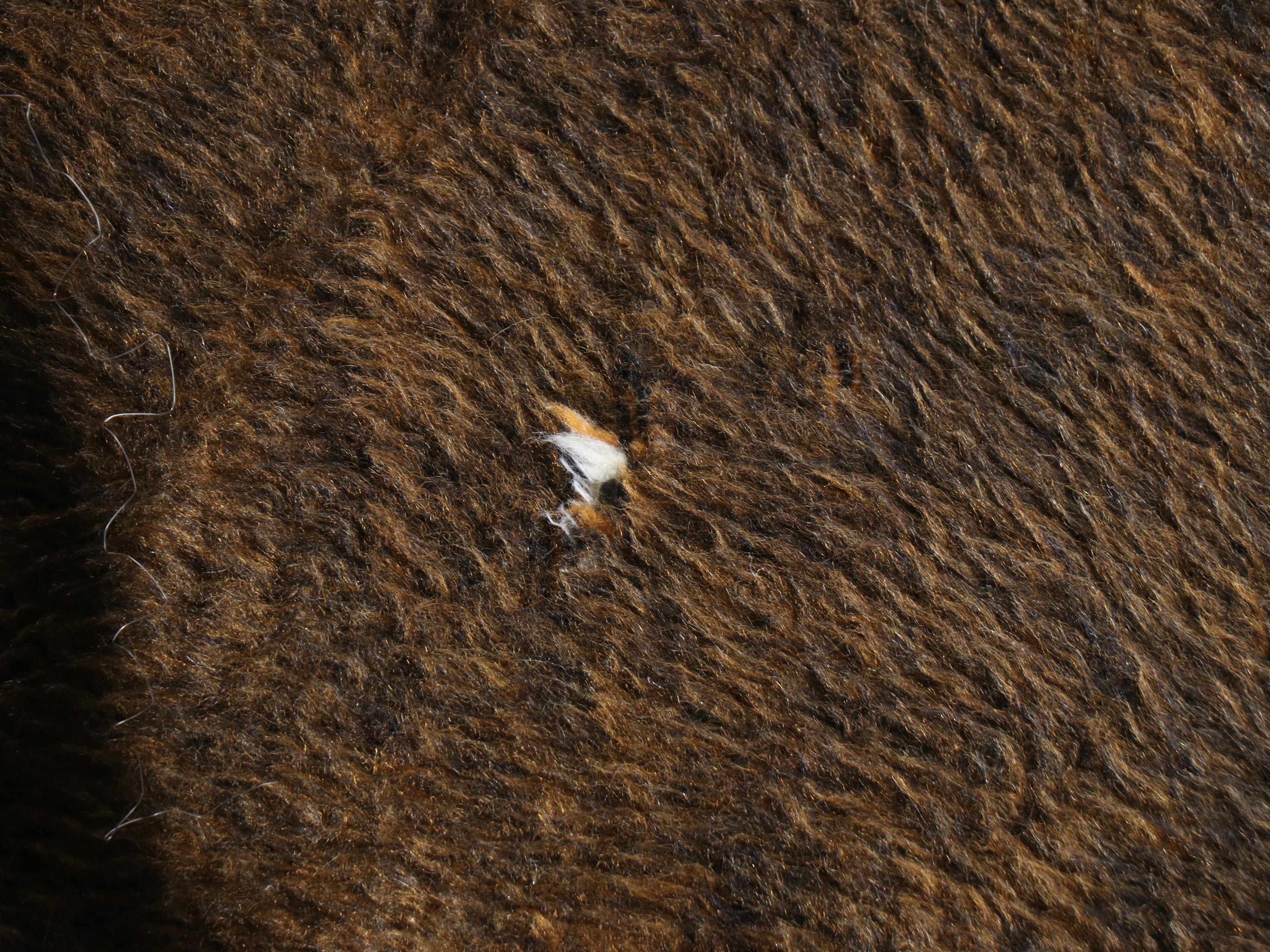 Biederlack Double-Sided Lion and Tiger Blankets