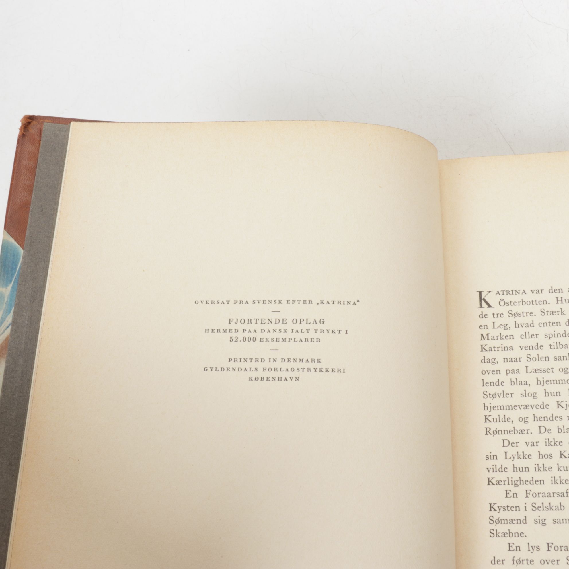 Eignt Danish Language Leather Bound Books