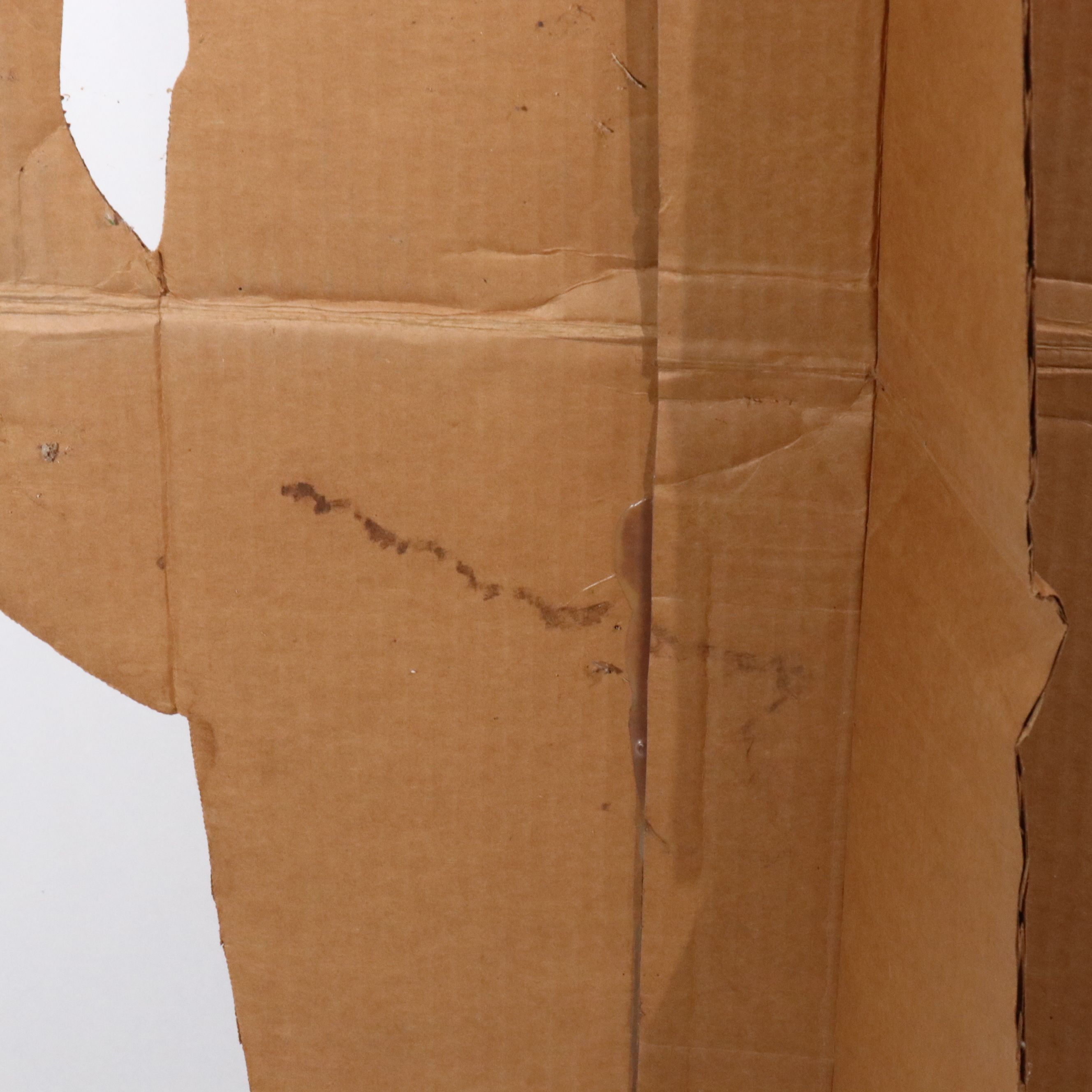 Life-Sized Cardboard Cutout of Larry Bird, Display Piece