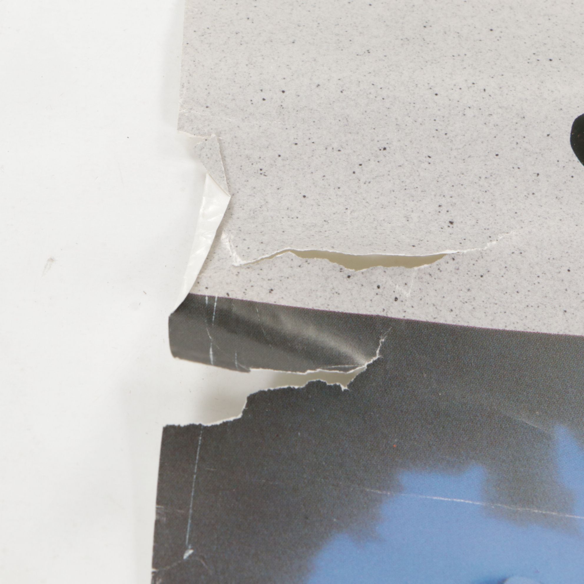 Rolled Music Poster Collection Features Tom Petty, Elton John and More