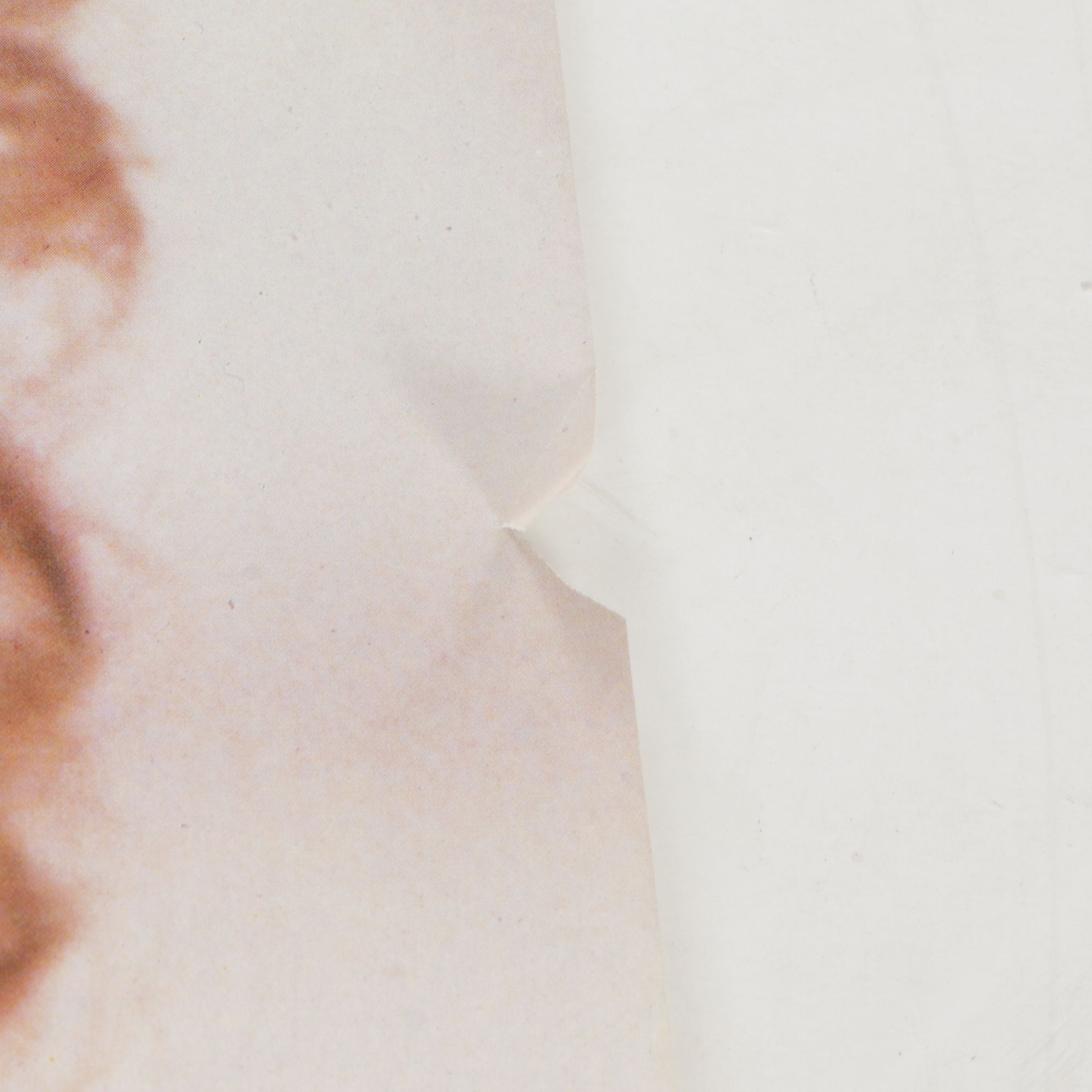 Rolled Music Poster Collection Features Tom Petty, Elton John and More