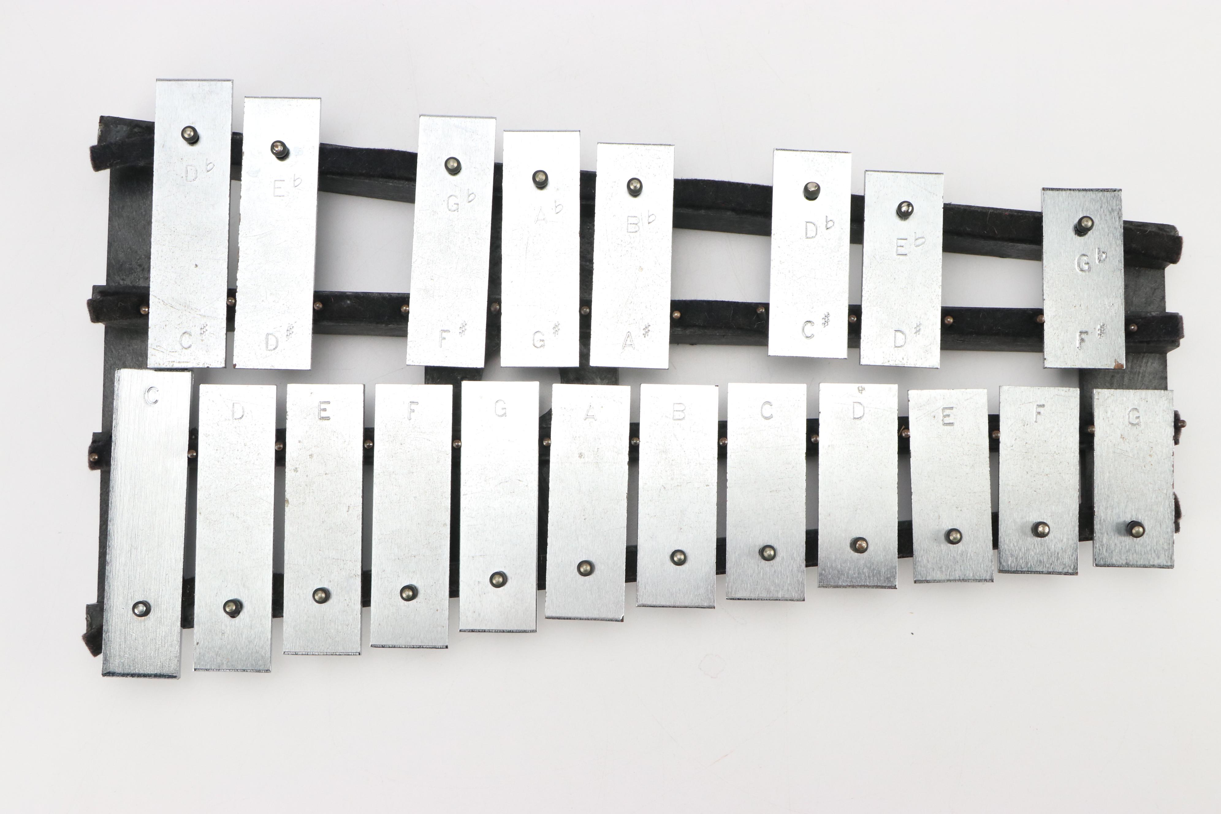 Vintage Glockenspiel with Plastic Case