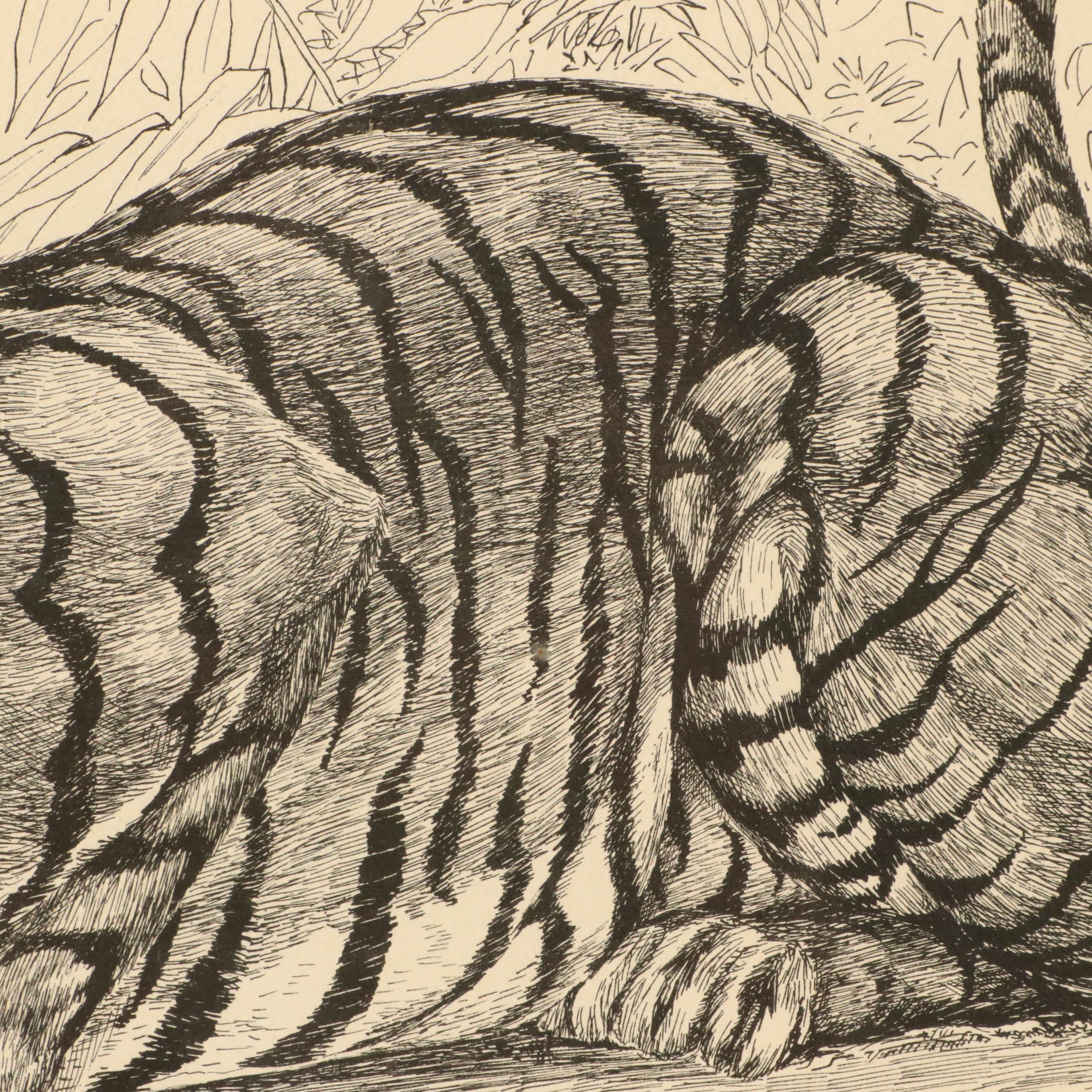 W. D. Gaither Lithograph "Bengal Tiger," 20th Century