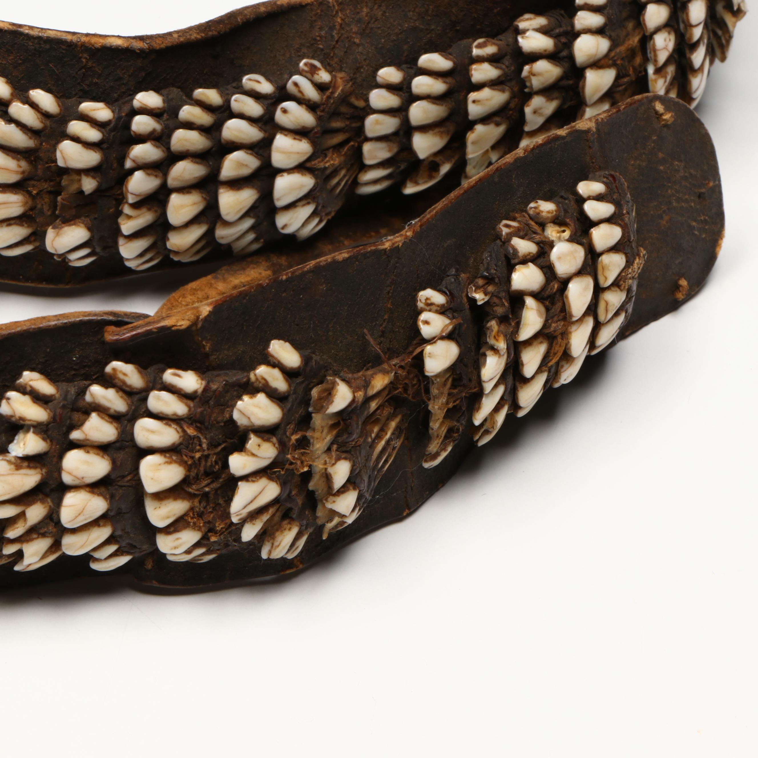 Iñupiat / Yup'ik Caribou Teeth Woman's Belt "Naqgun"