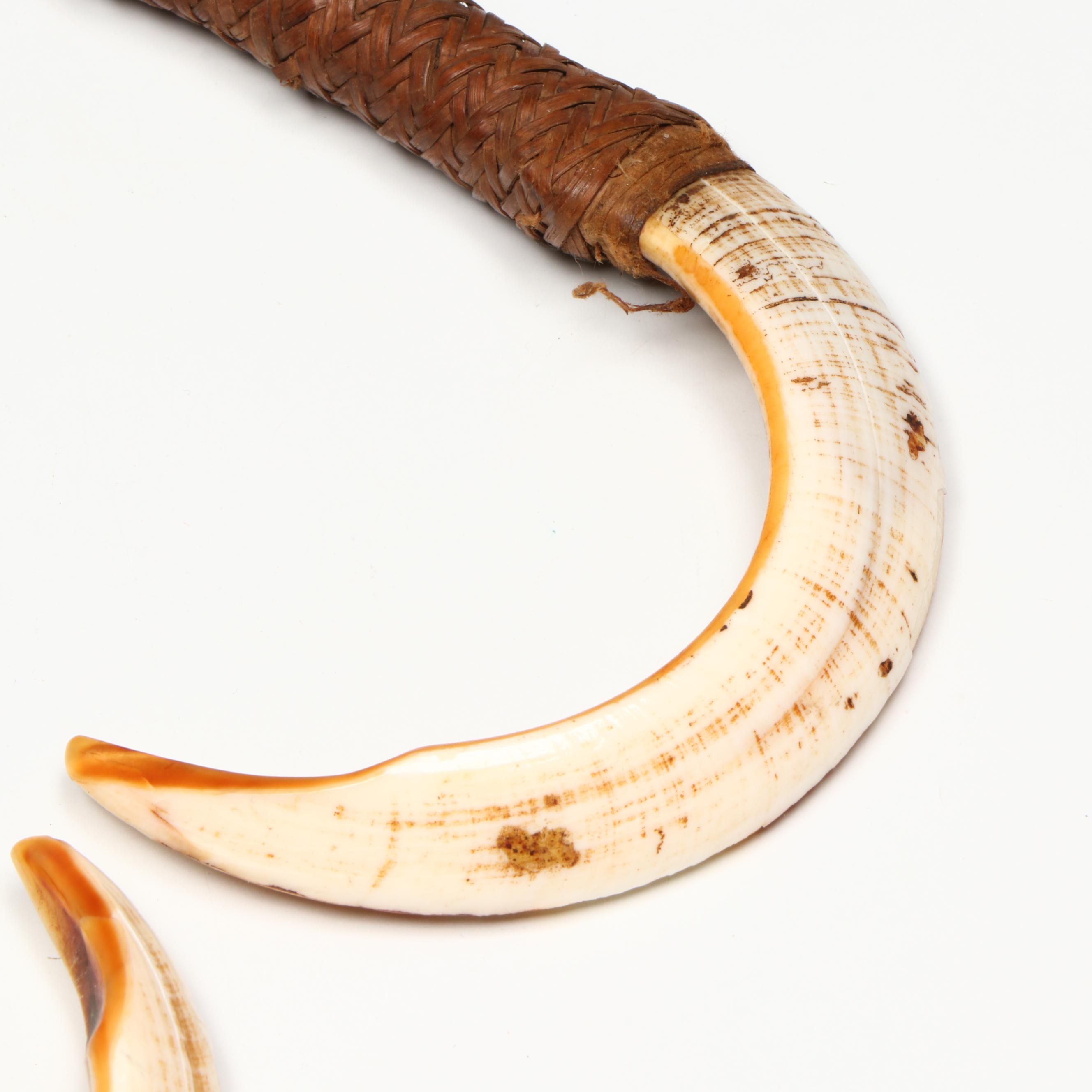 Papua New Guinea Boar Tusk Neck Ornament with Tree Kangaroo Necklace