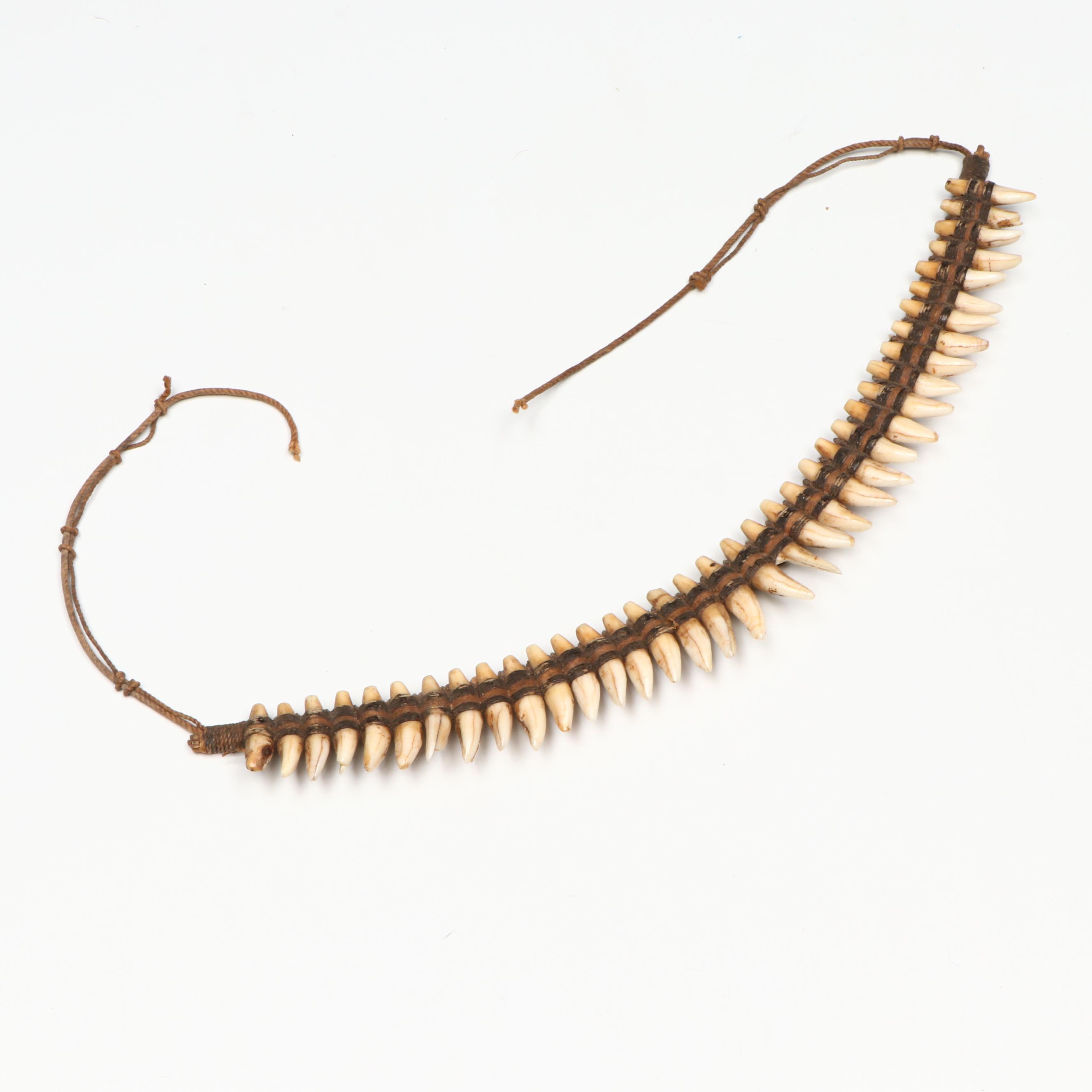 Papua New Guinea Boar Tusk Neck Ornament with Tree Kangaroo Necklace