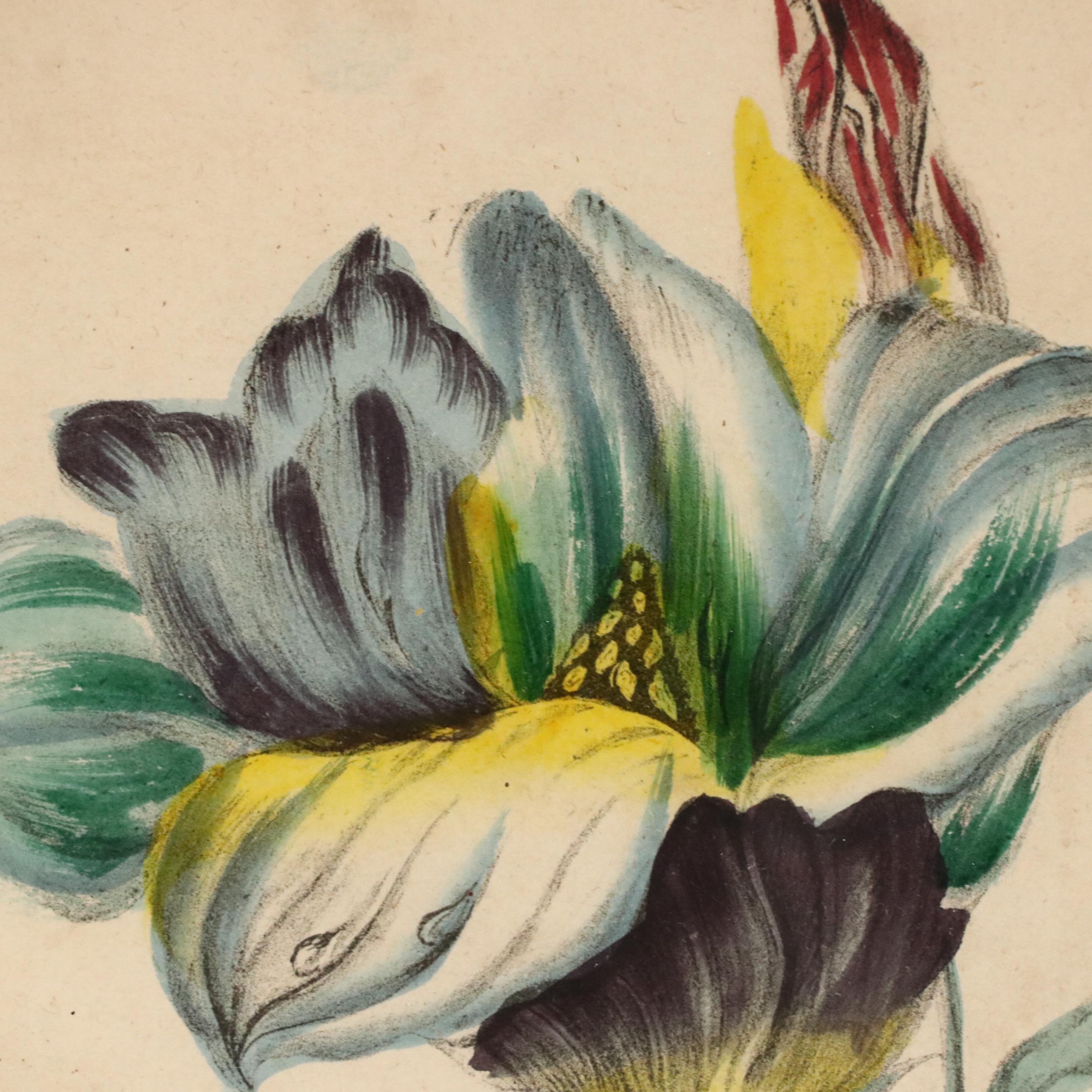 Hand-Colored Floral Lithograph "Chinese Magnolia"