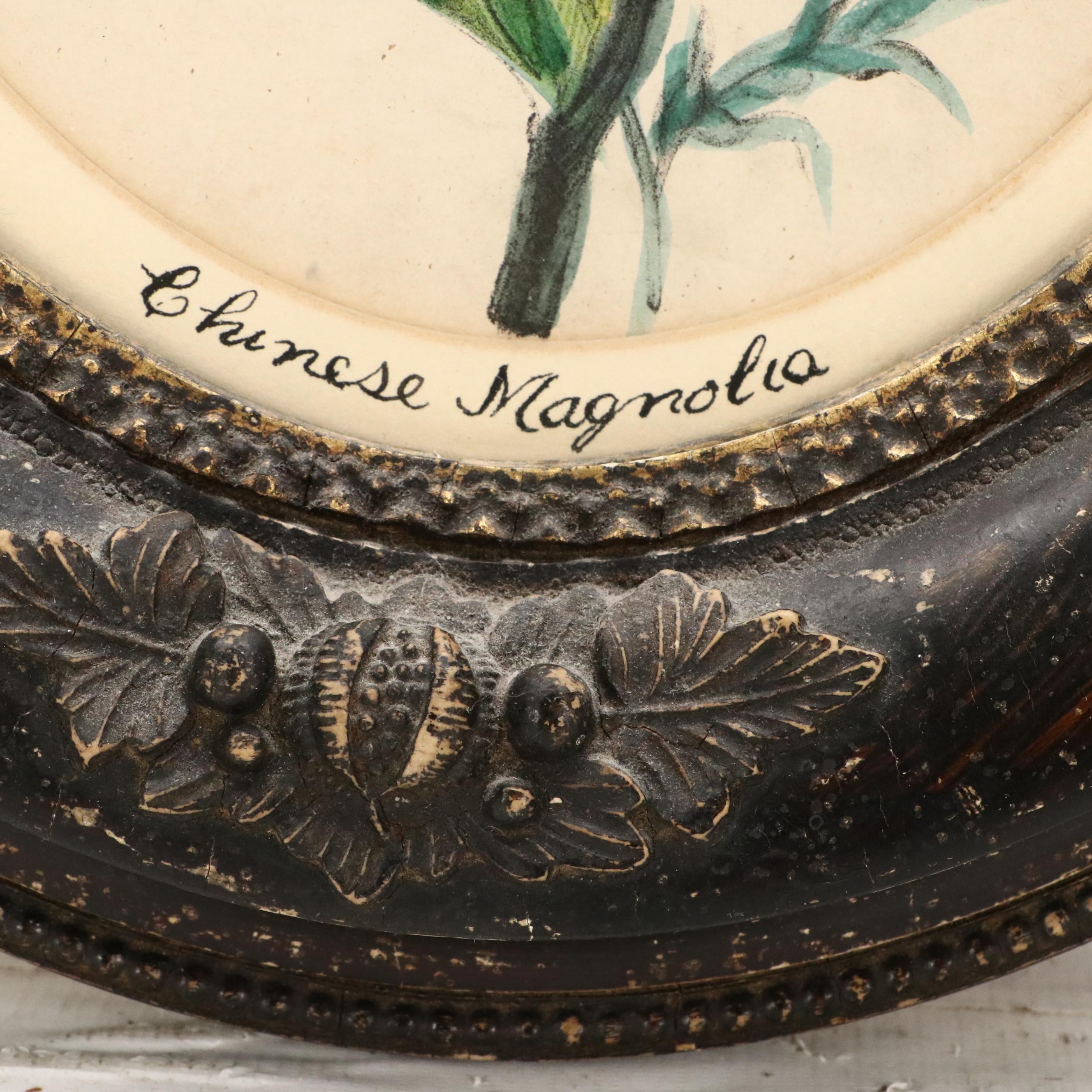 Hand-Colored Floral Lithograph "Chinese Magnolia"