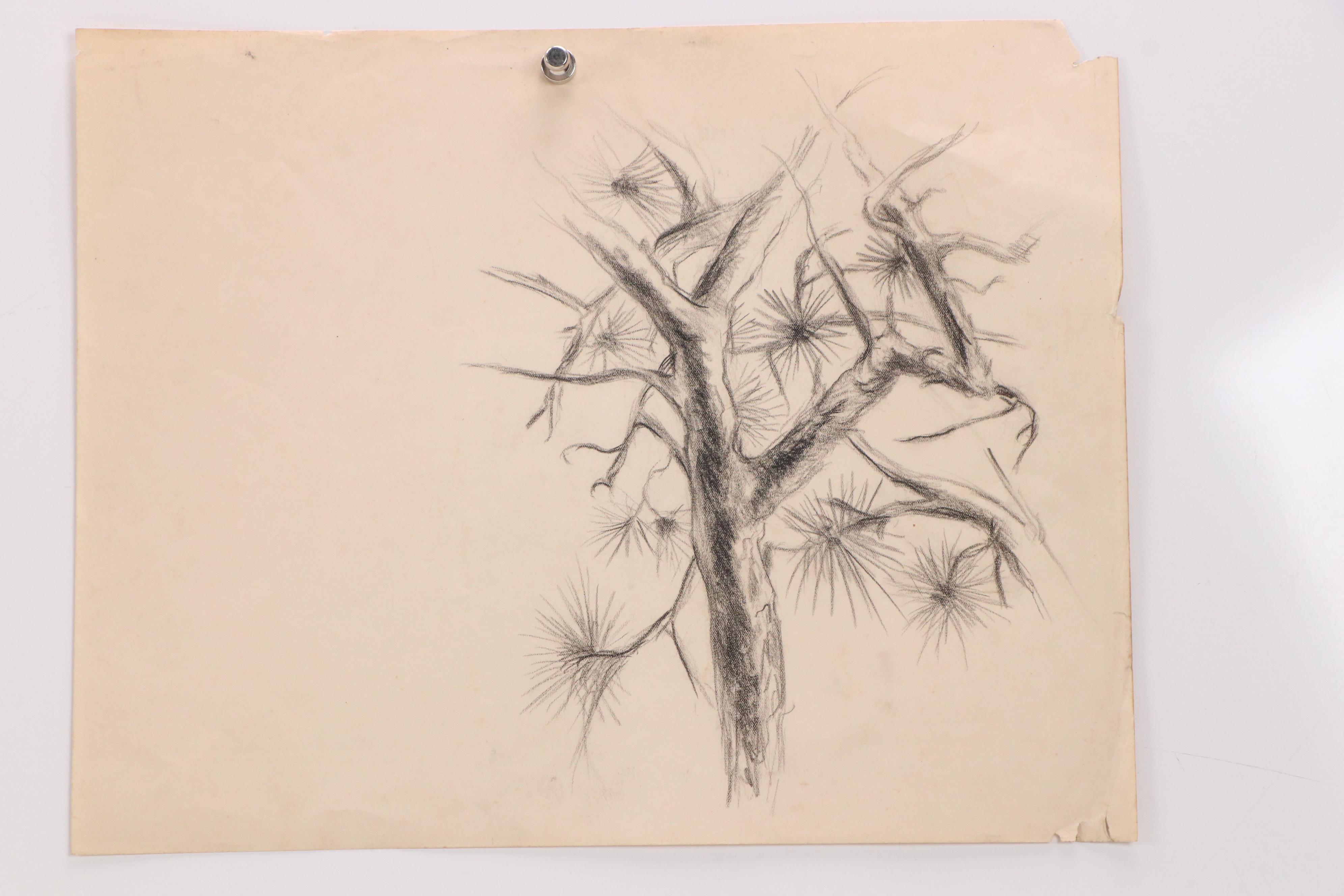 Lot of Three Tree-Themed Drawings and Paintings, 20th Century