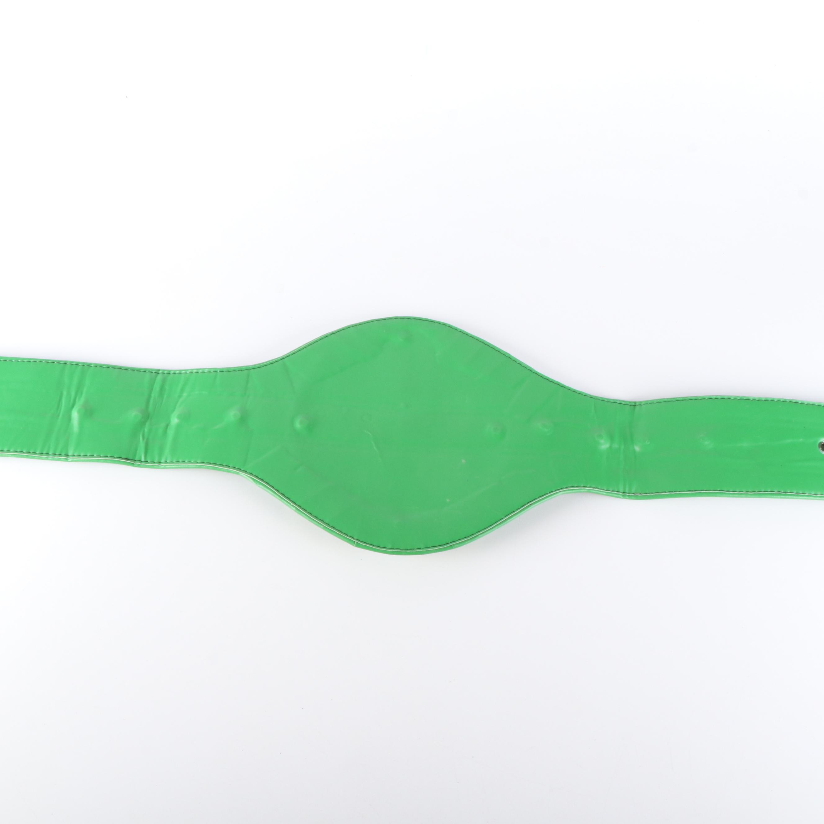 Wrestling and Boxing Replica Champion Belts