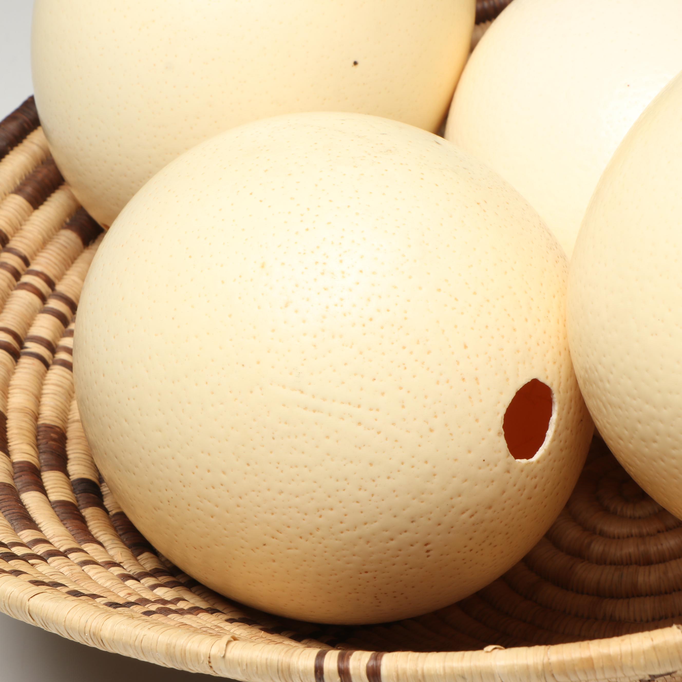 African Coiled Basketry Bowl with Ostrich Eggs