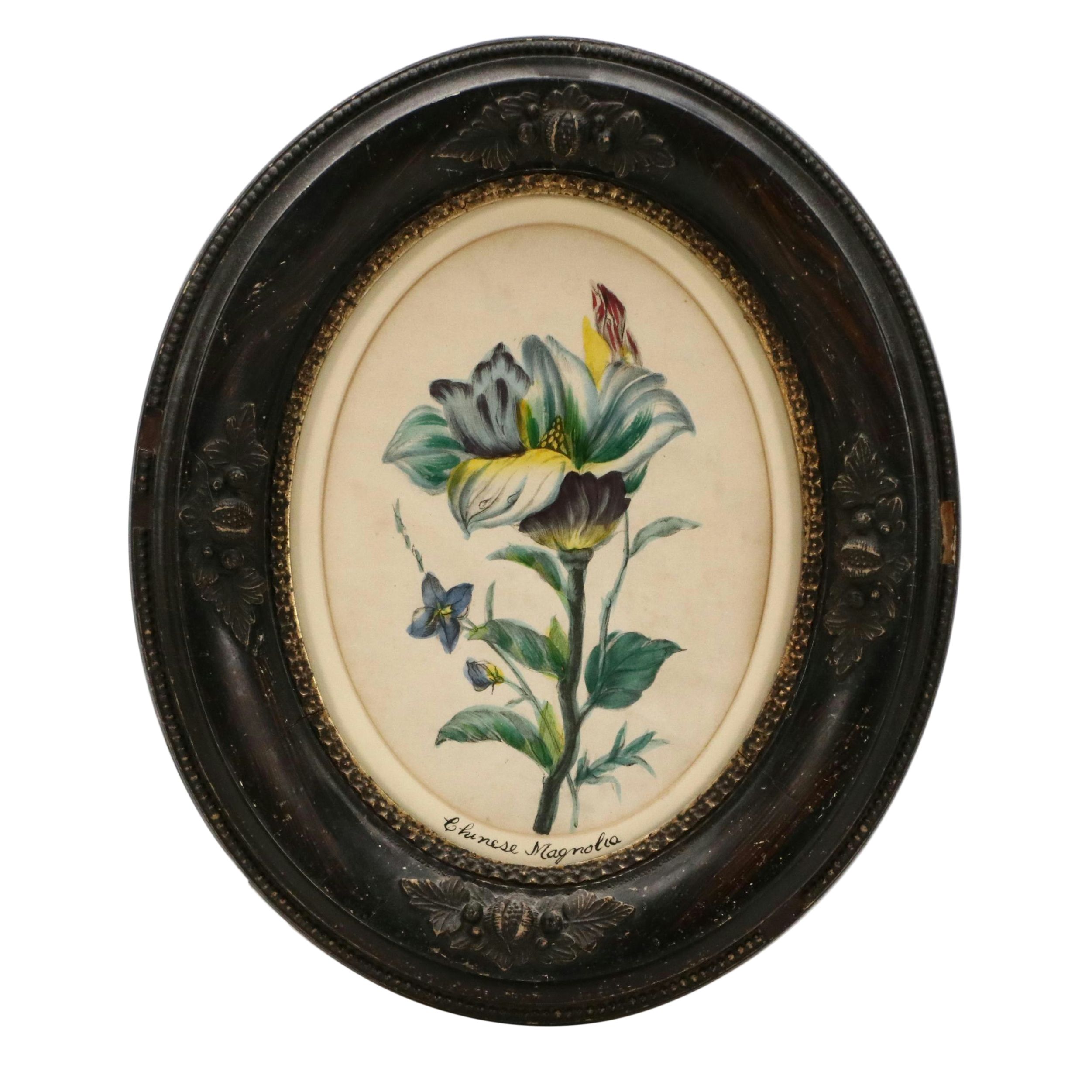 Hand-Colored Floral Lithograph "Chinese Magnolia"