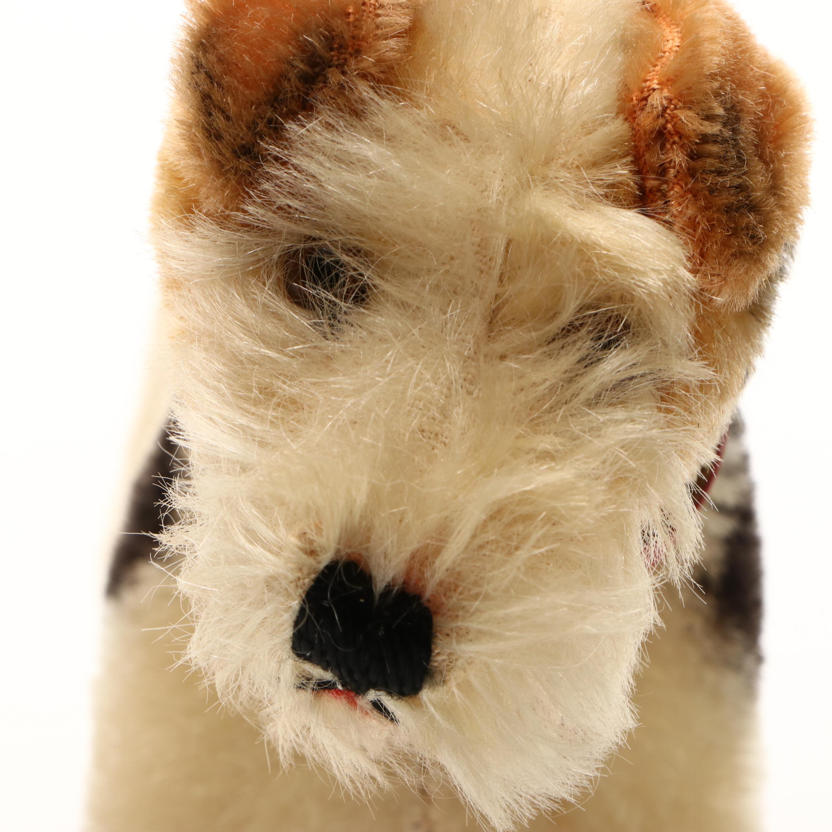 Terrier, Pekingese & Other Stuff Toy Dogs