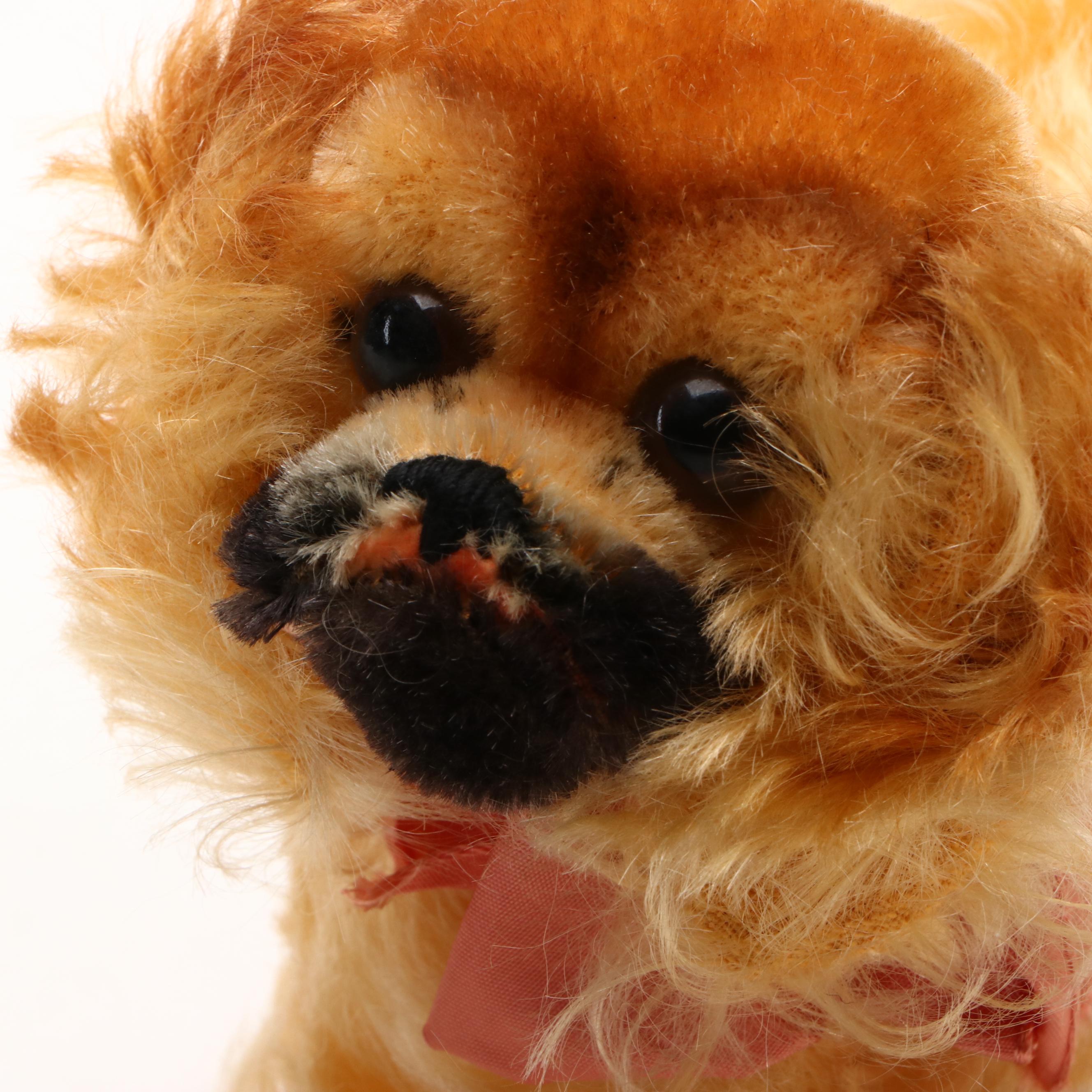 Terrier, Pekingese & Other Stuff Toy Dogs