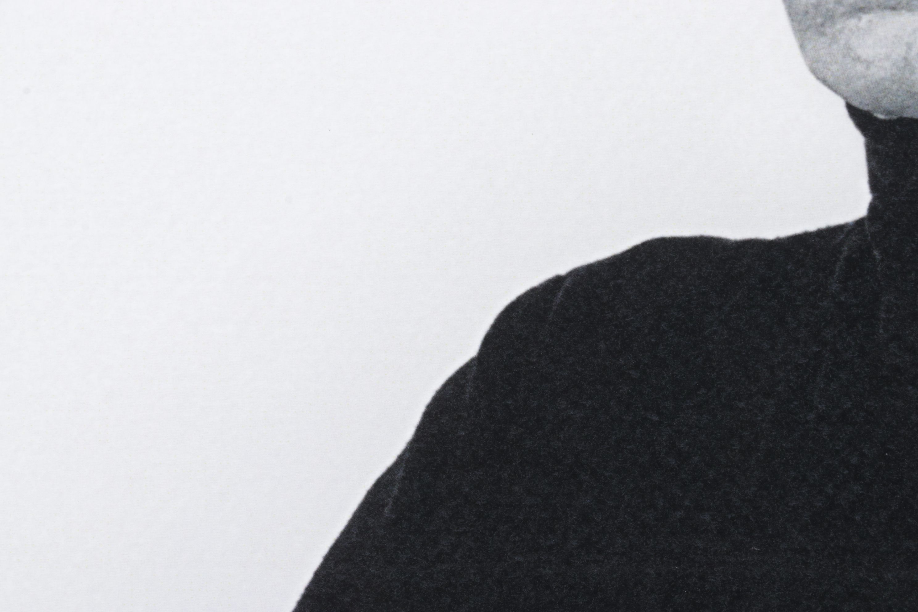 Death NYC Pop Art Digital Graphic Print "Andy Warhol and Alice," 2020