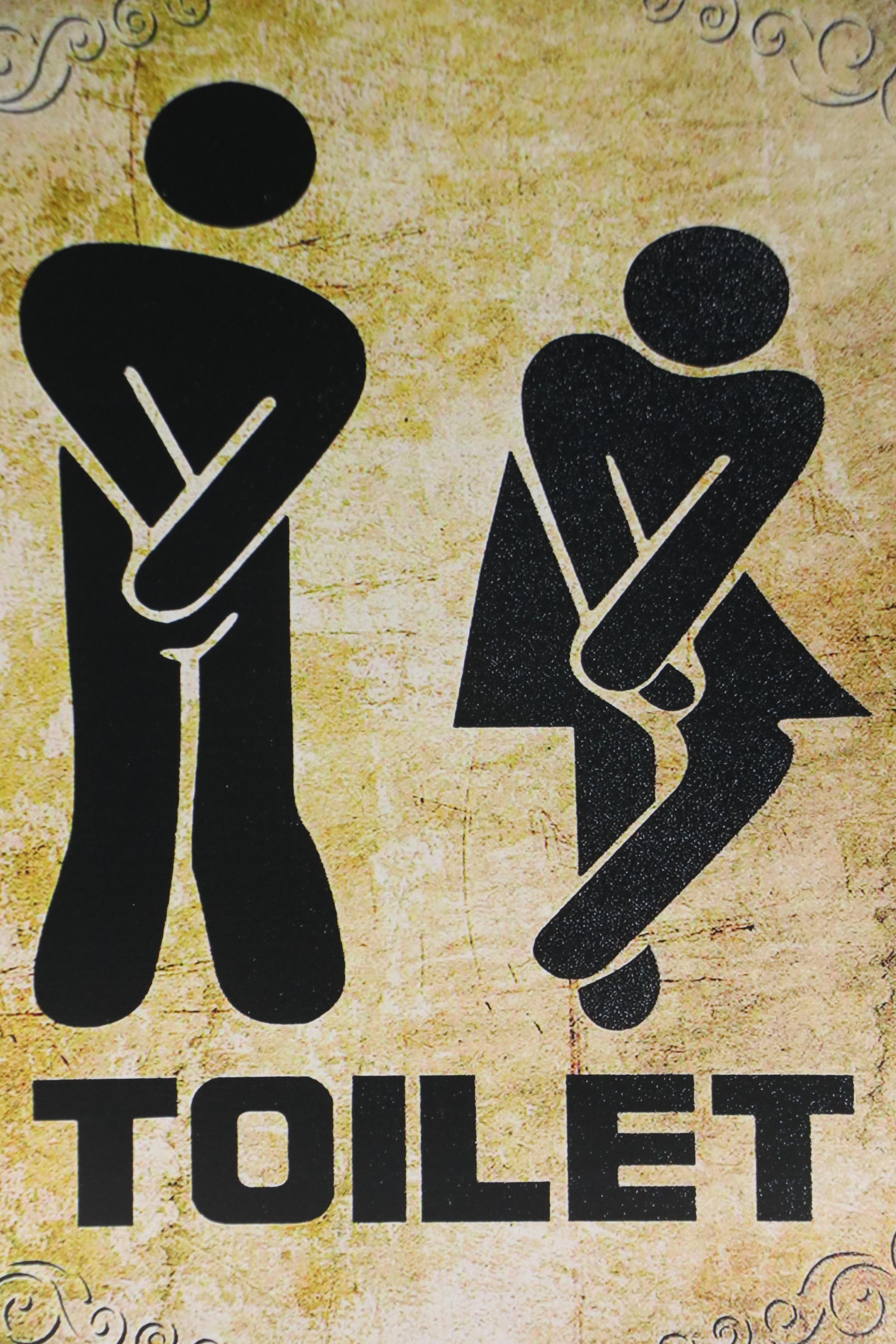 Novelty Graphic Giclée "Toilet," 21st Century