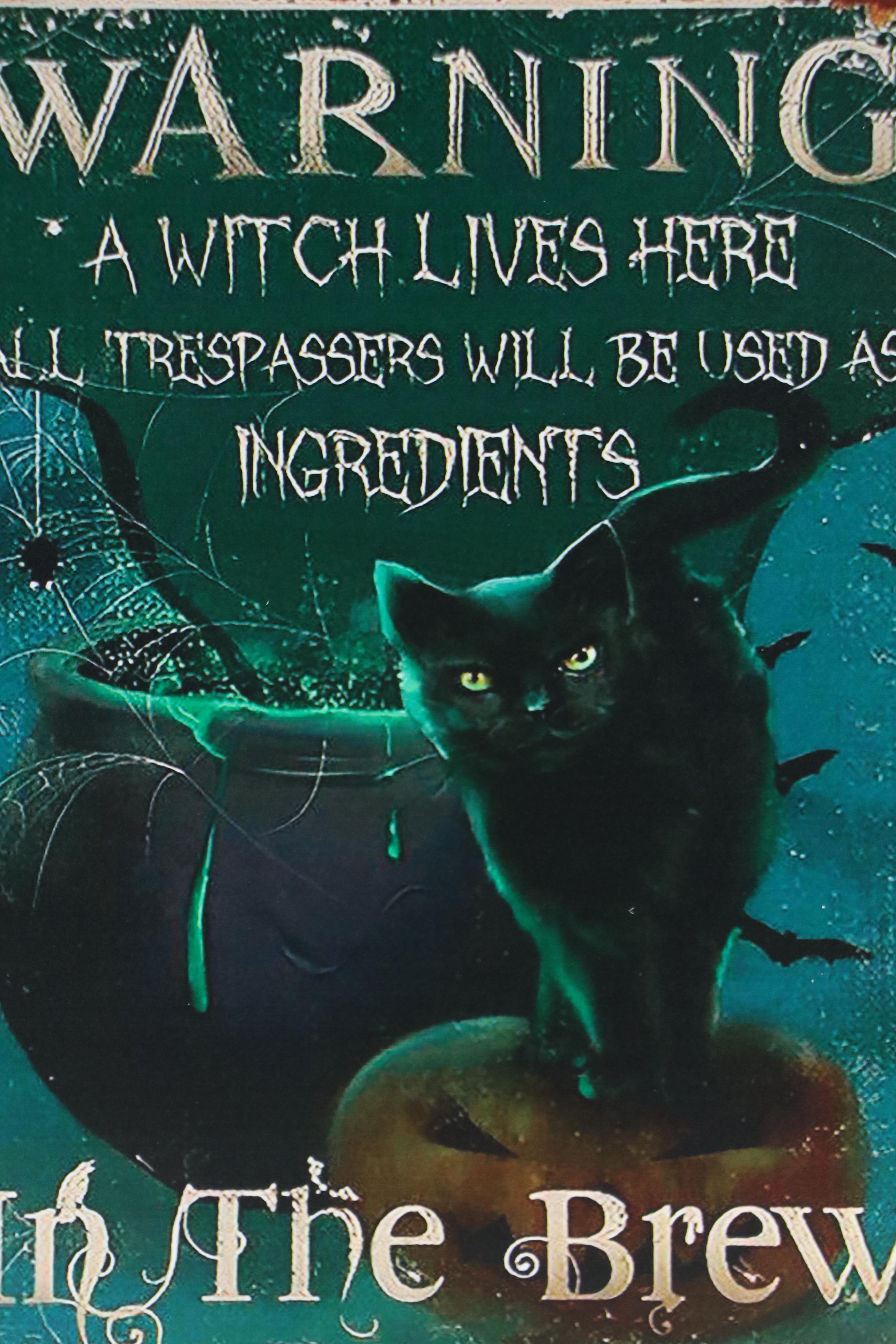 Novelty Halloween Giclée "Warning: A Witch Lives Here...," 21st Century