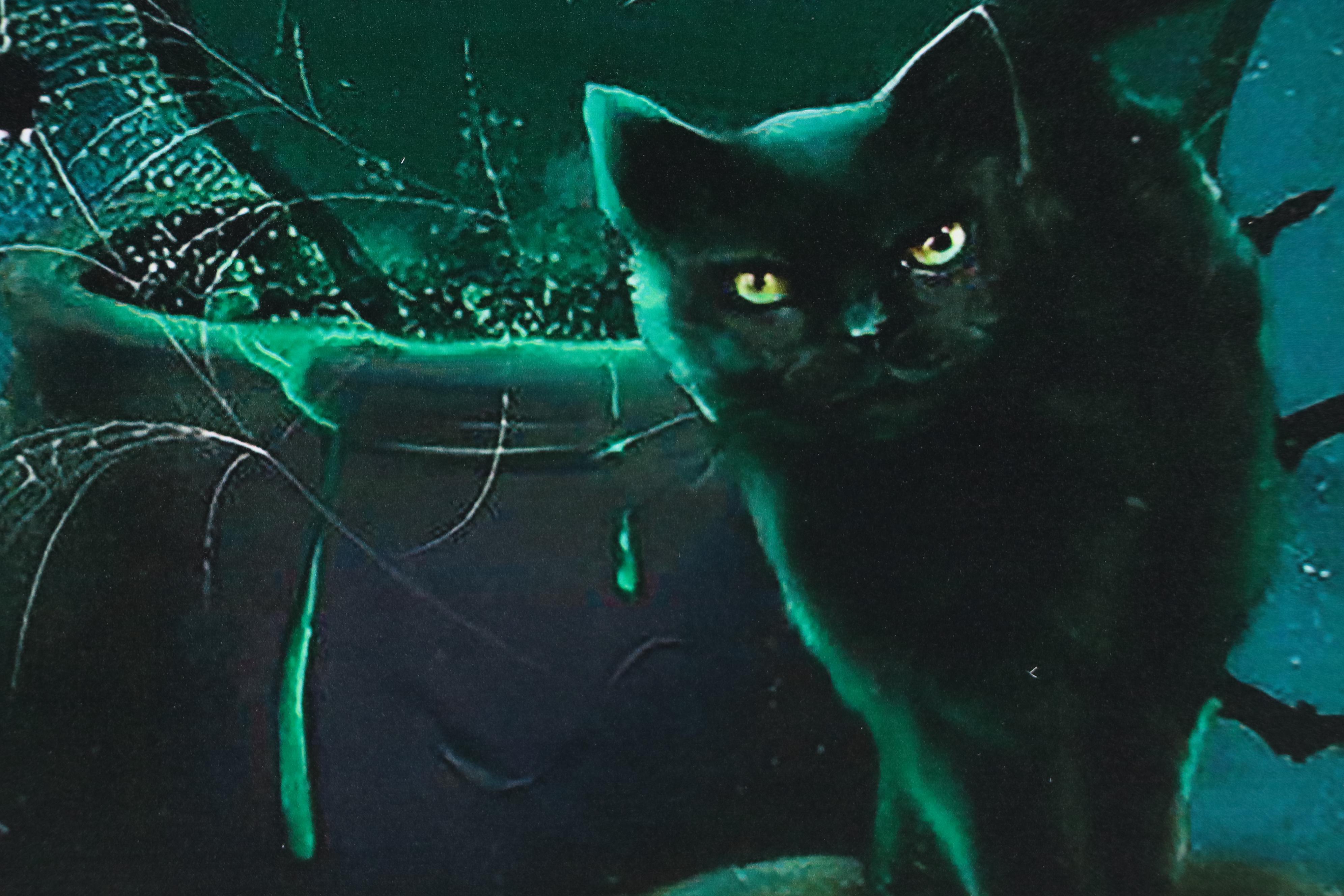 Novelty Halloween Giclée "Warning: A Witch Lives Here...," 21st Century