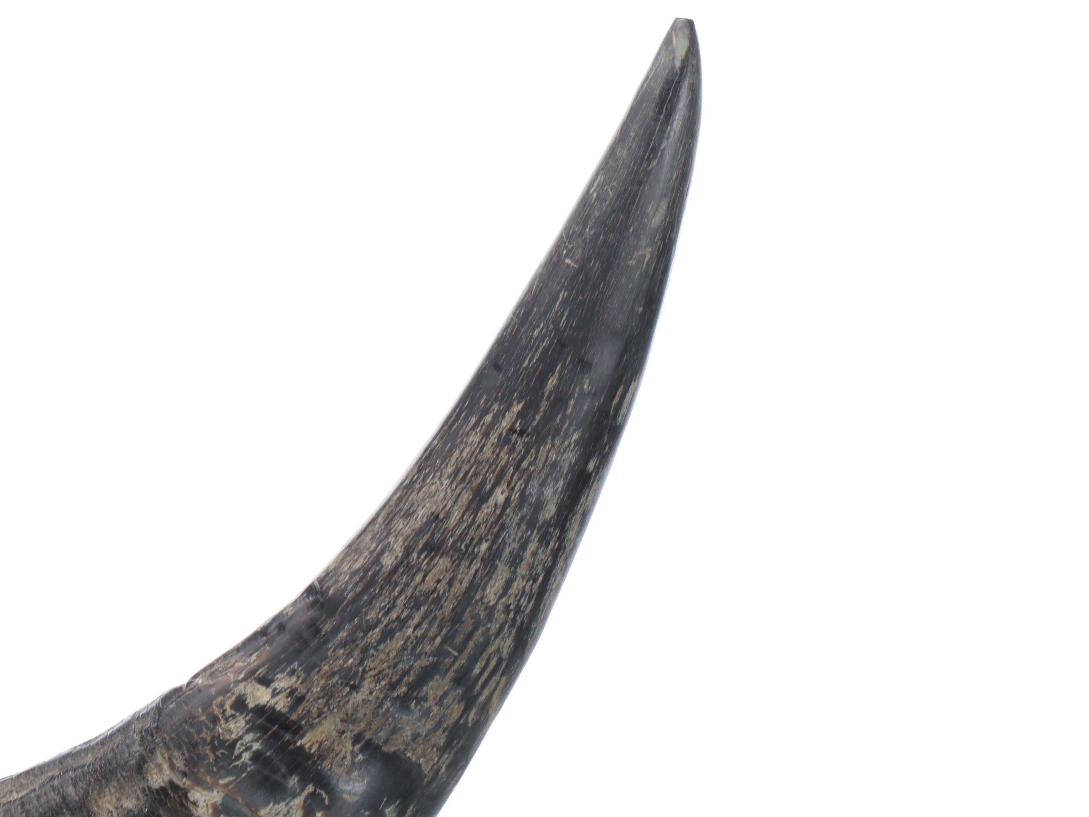 Tiered Horn Coat and Hat Rack