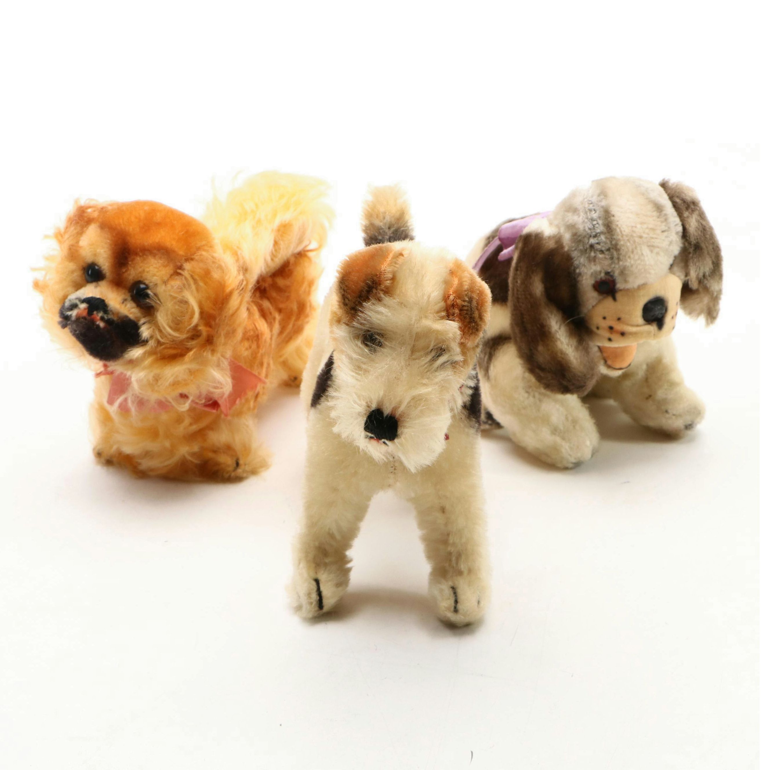 Terrier, Pekingese & Other Stuff Toy Dogs