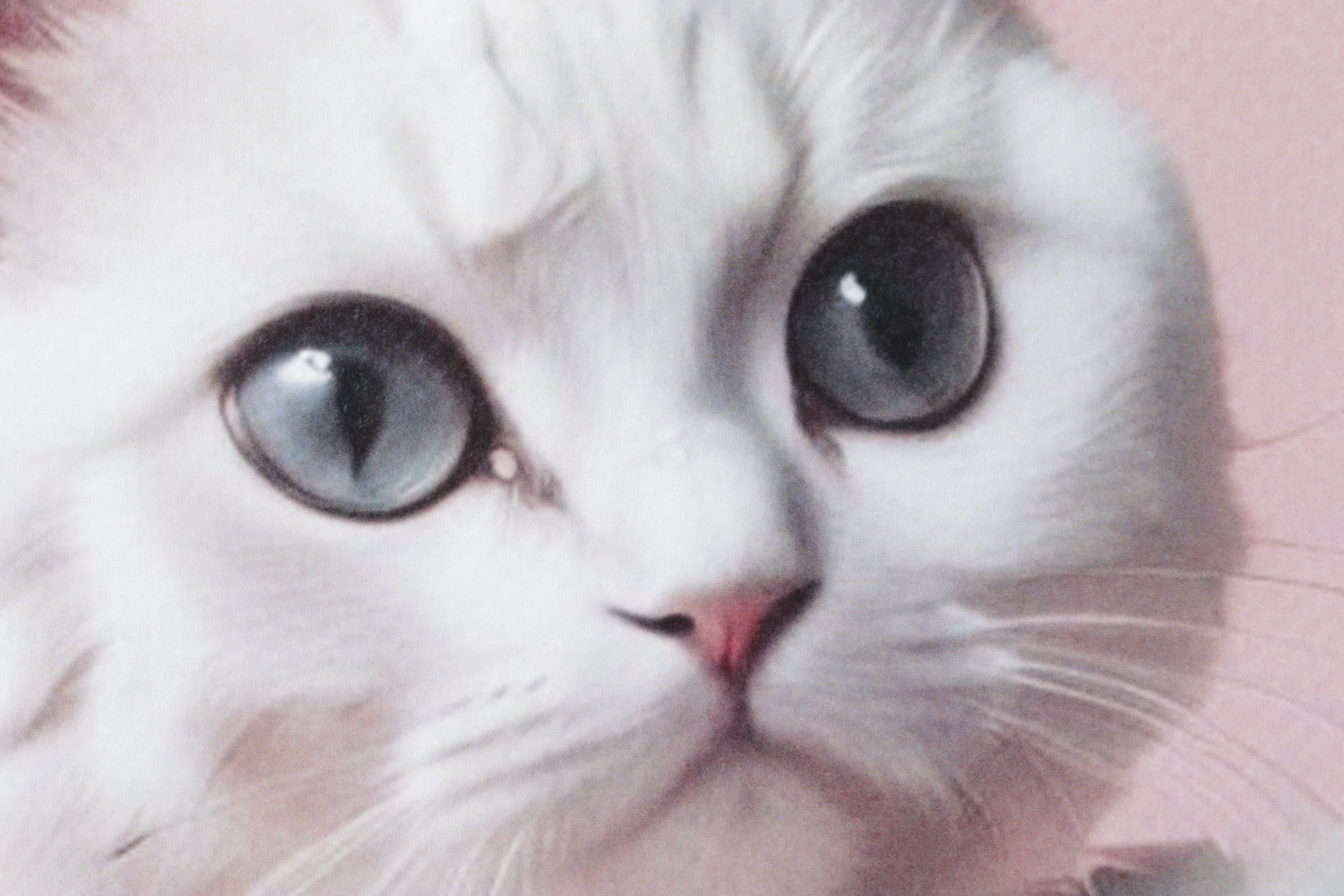 Death NYC Graphic Digital Print Featuring Chanel x White Kitten, 2024