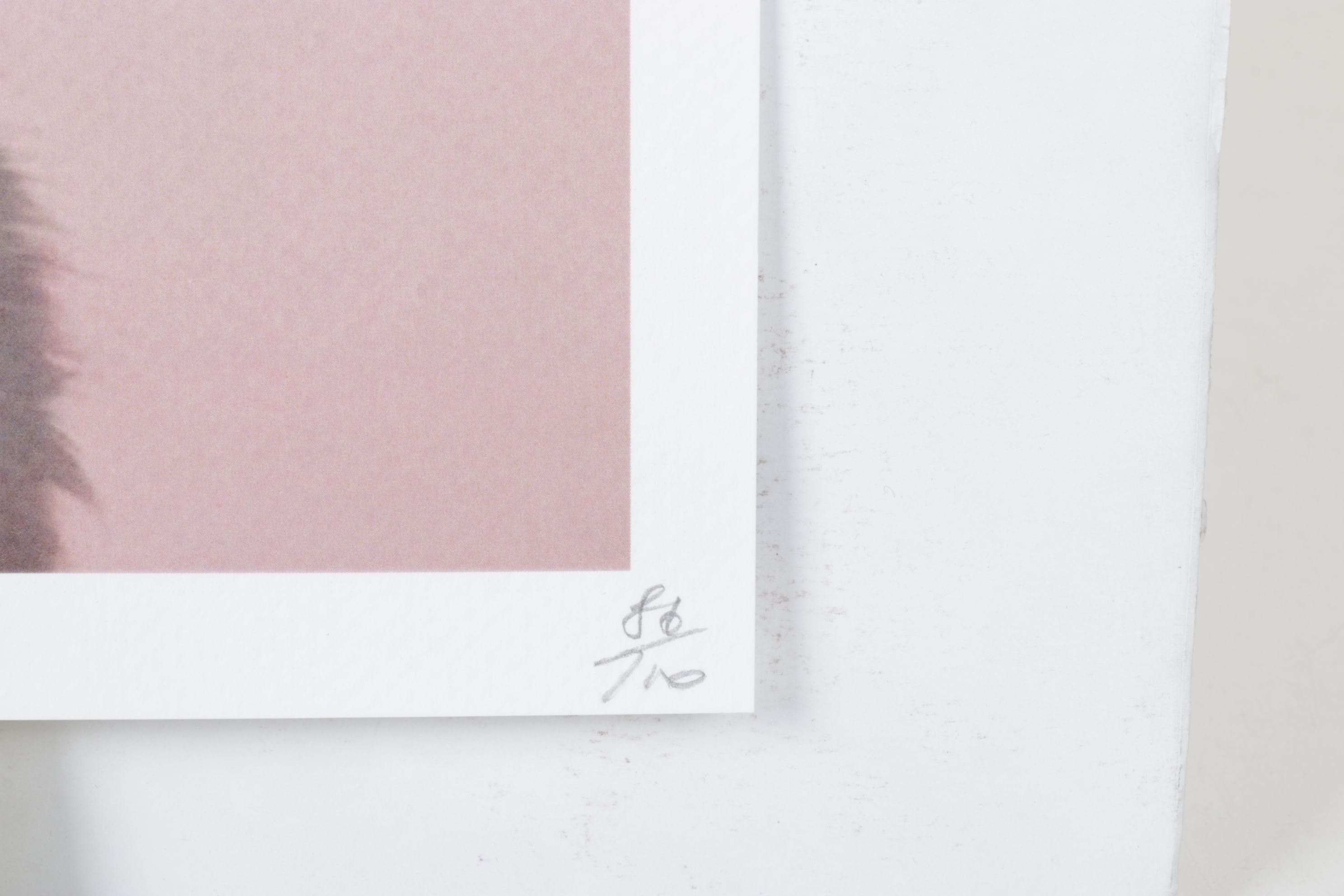 Death NYC Graphic Digital Print Featuring Chanel x White Kitten, 2024