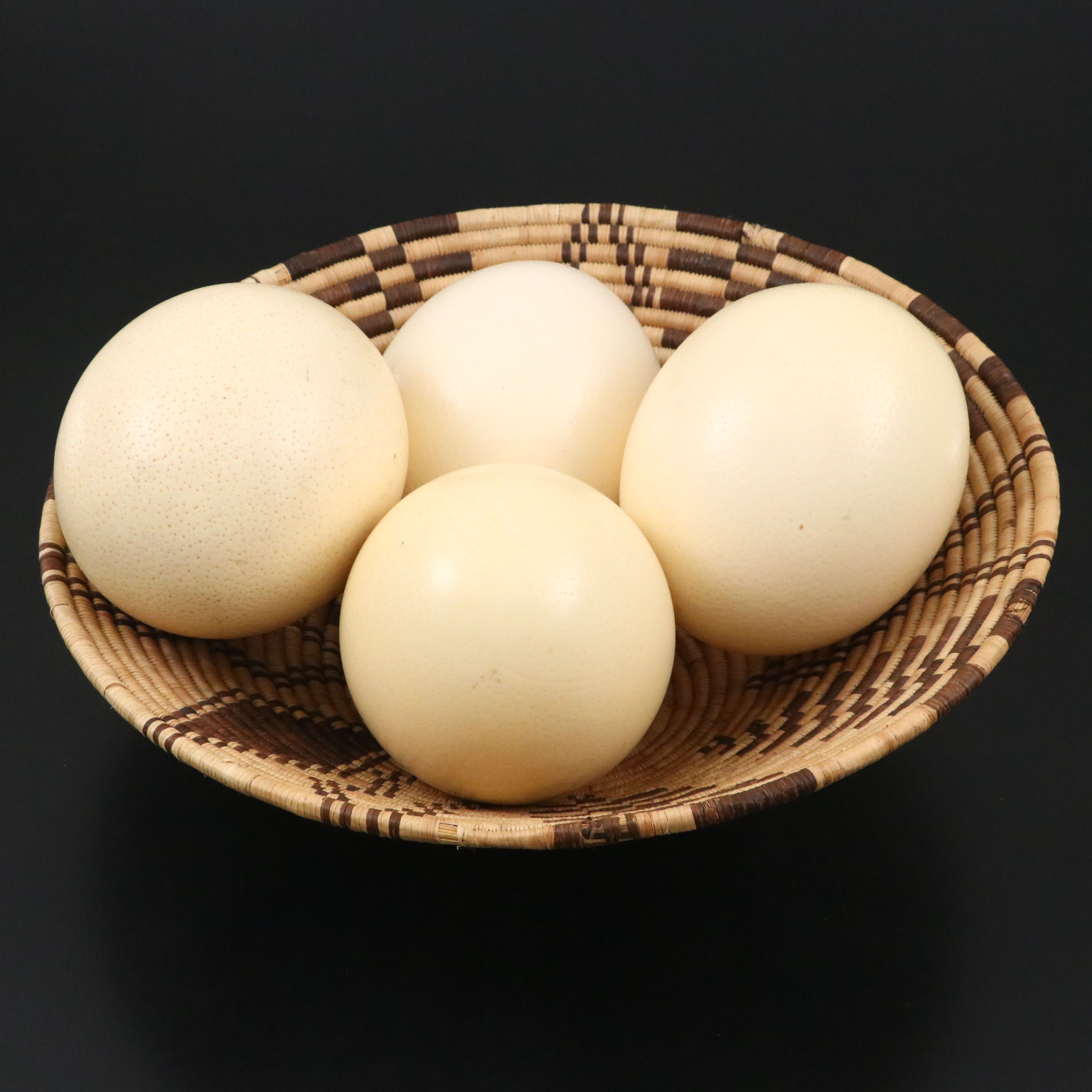 African Coiled Basketry Bowl with Ostrich Eggs