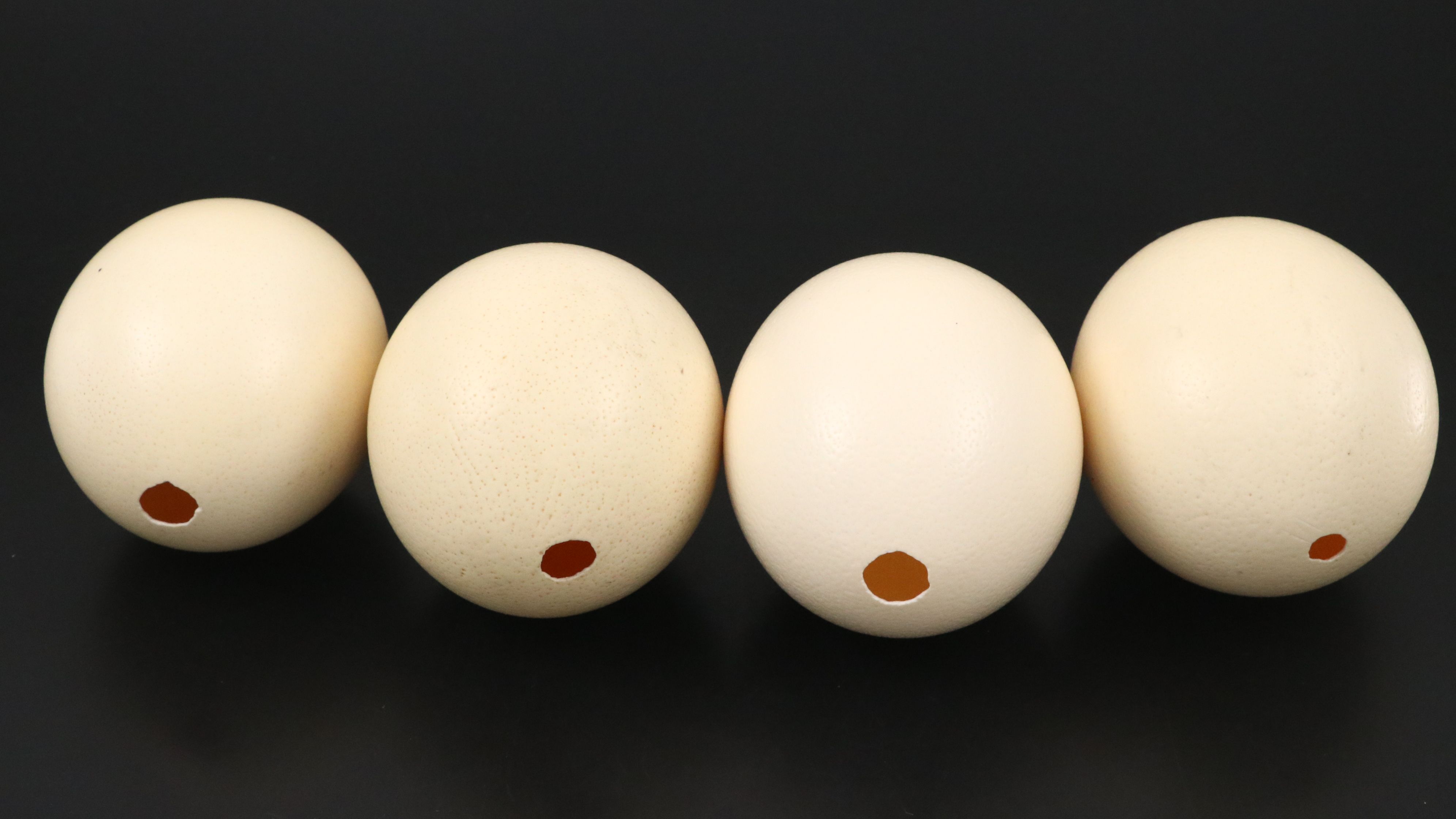 African Coiled Basketry Bowl with Ostrich Eggs