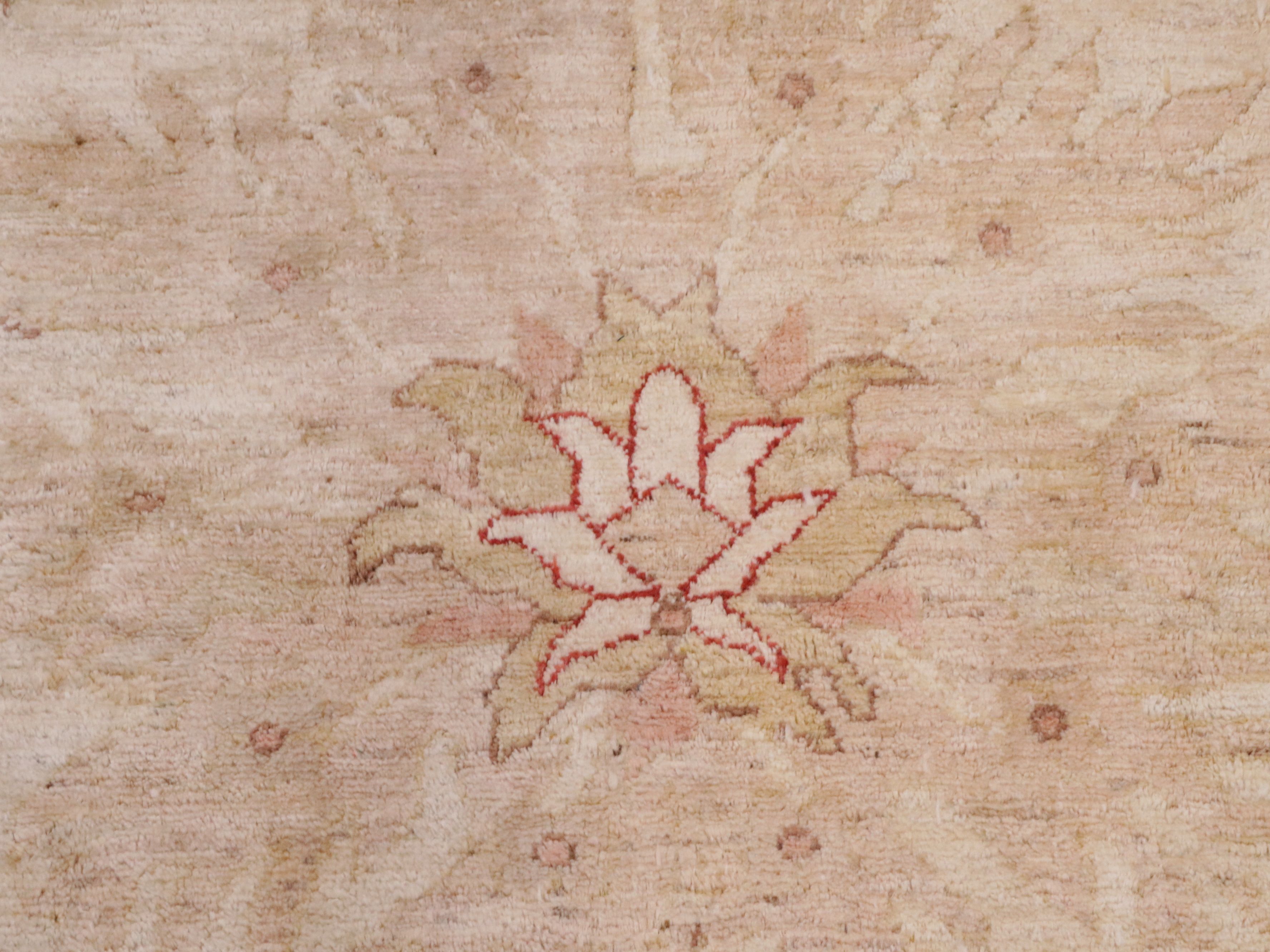 12' x 17'8 Hand-Knotted Pakistani Peshawar Room-Sized Rug