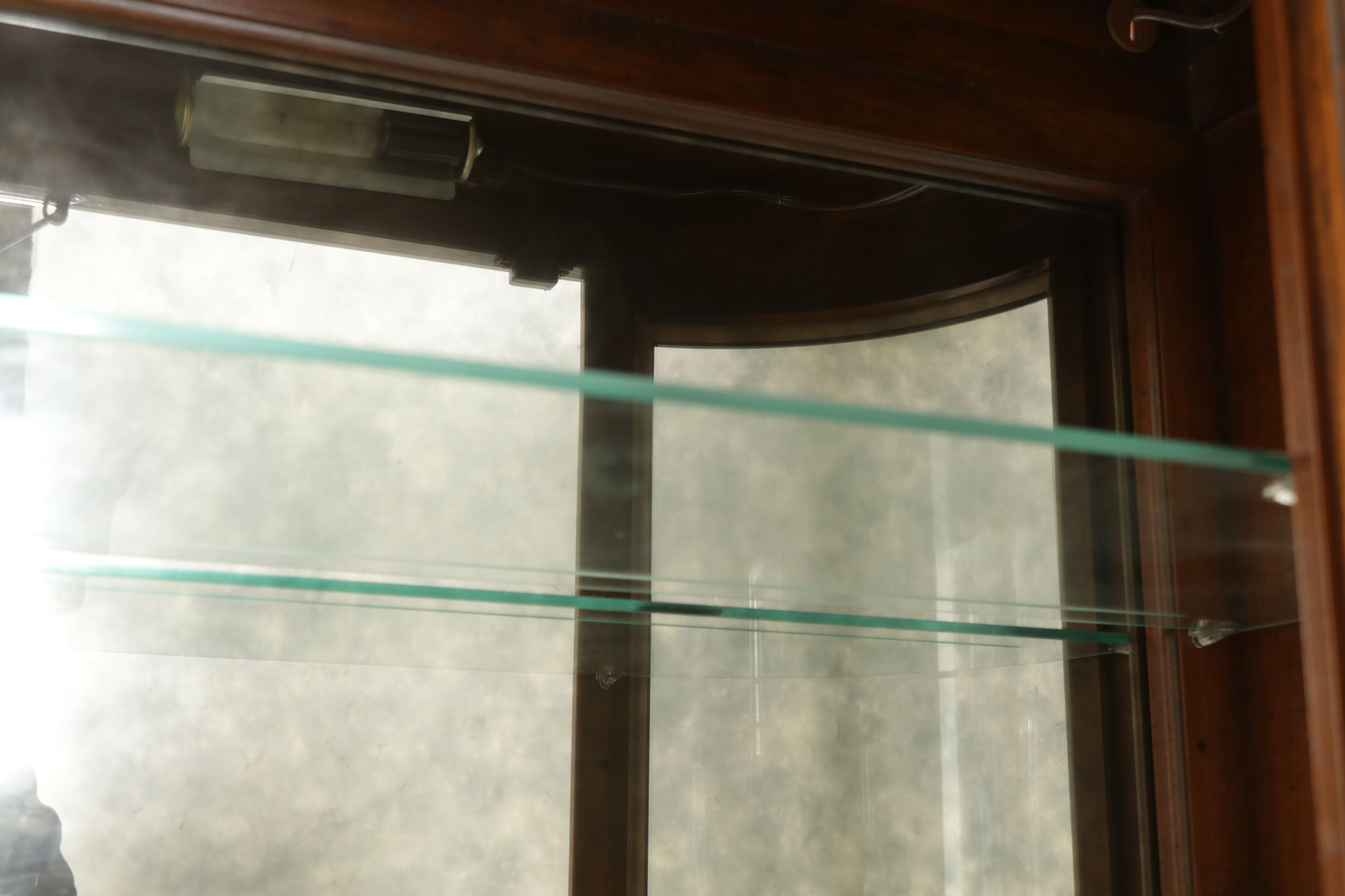 Walnut Illuminated Curio Cabinet