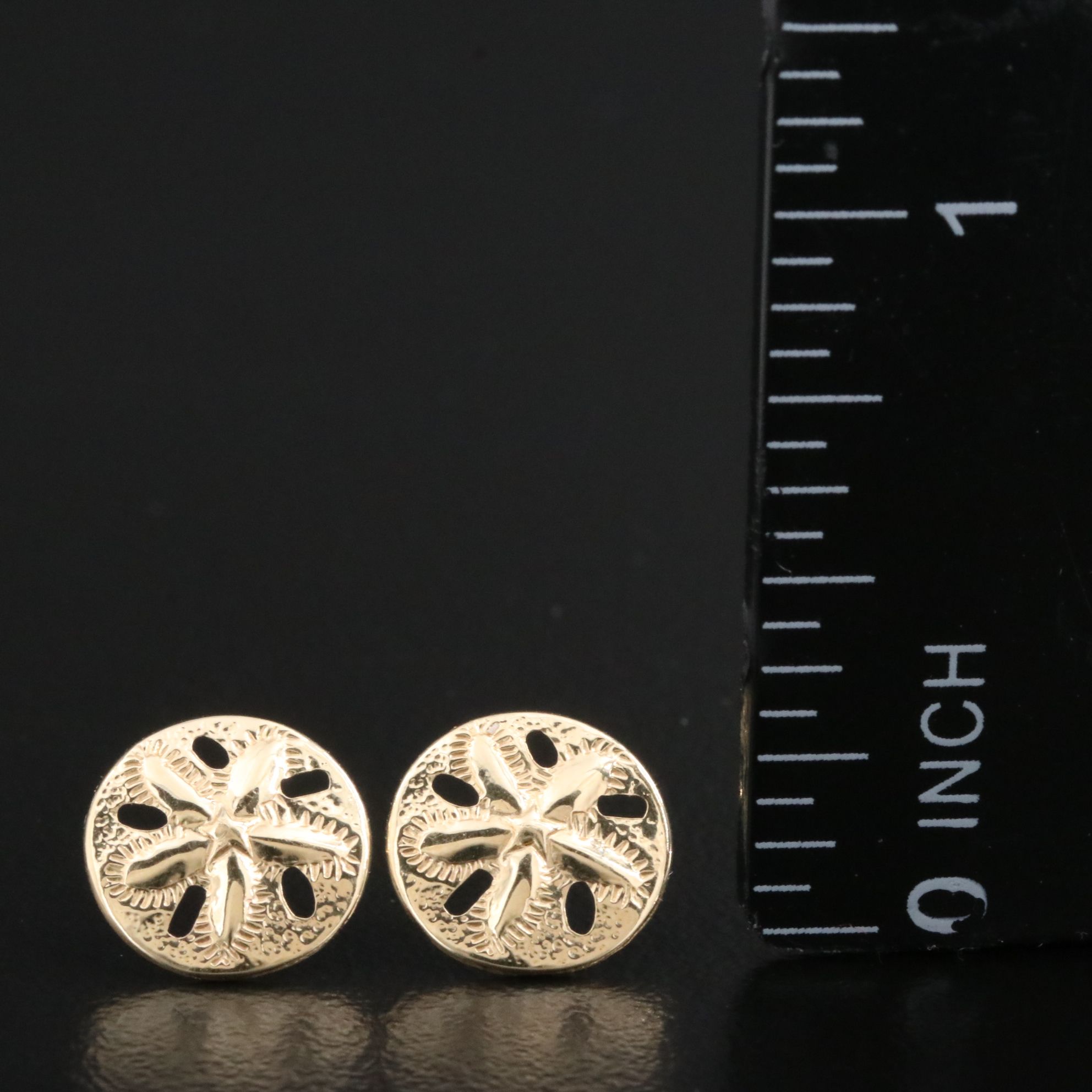 14K Sand Dollar Earrings