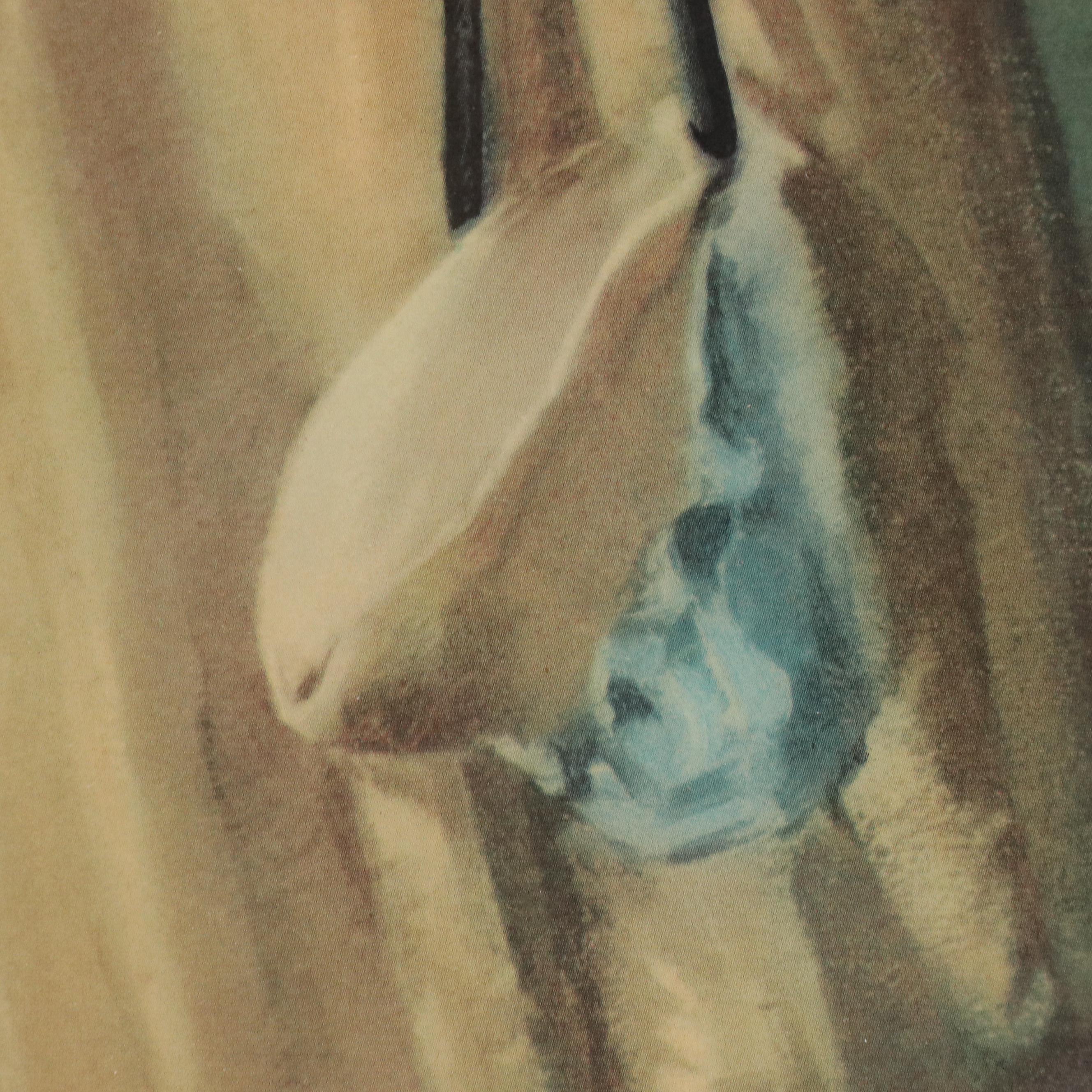 Offset Lithograph After Jane Freeman's "Chums"