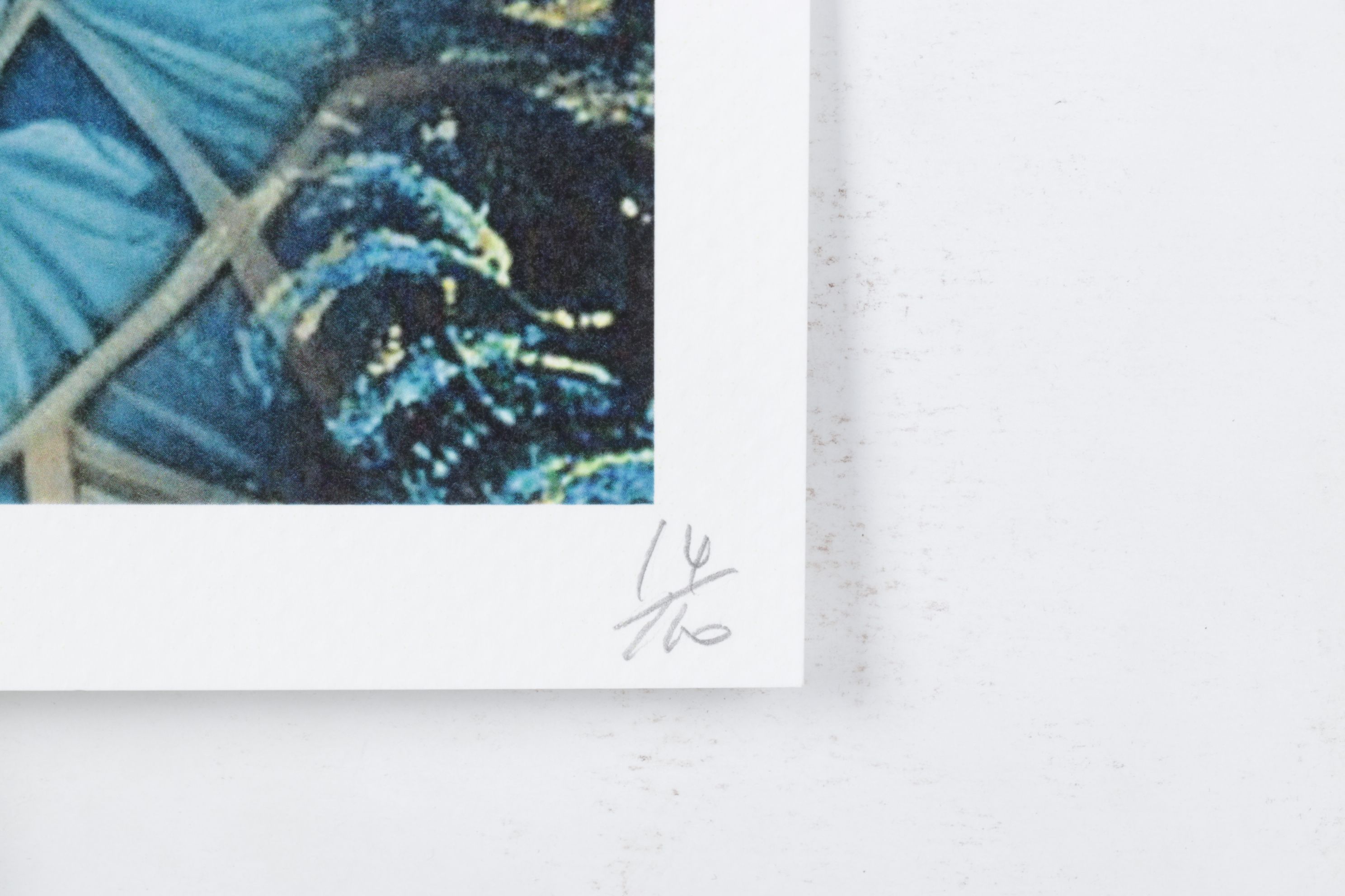 Death NYC Pop Art Digital Graphic Print Homage to Klimt x Van Gogh, 2025