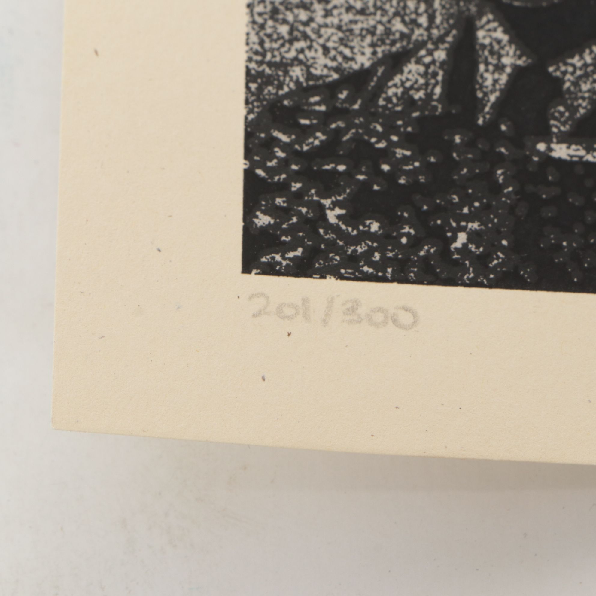 Signed Shepard Fairey "Democracidal Tendencies" Lithograph, 2024