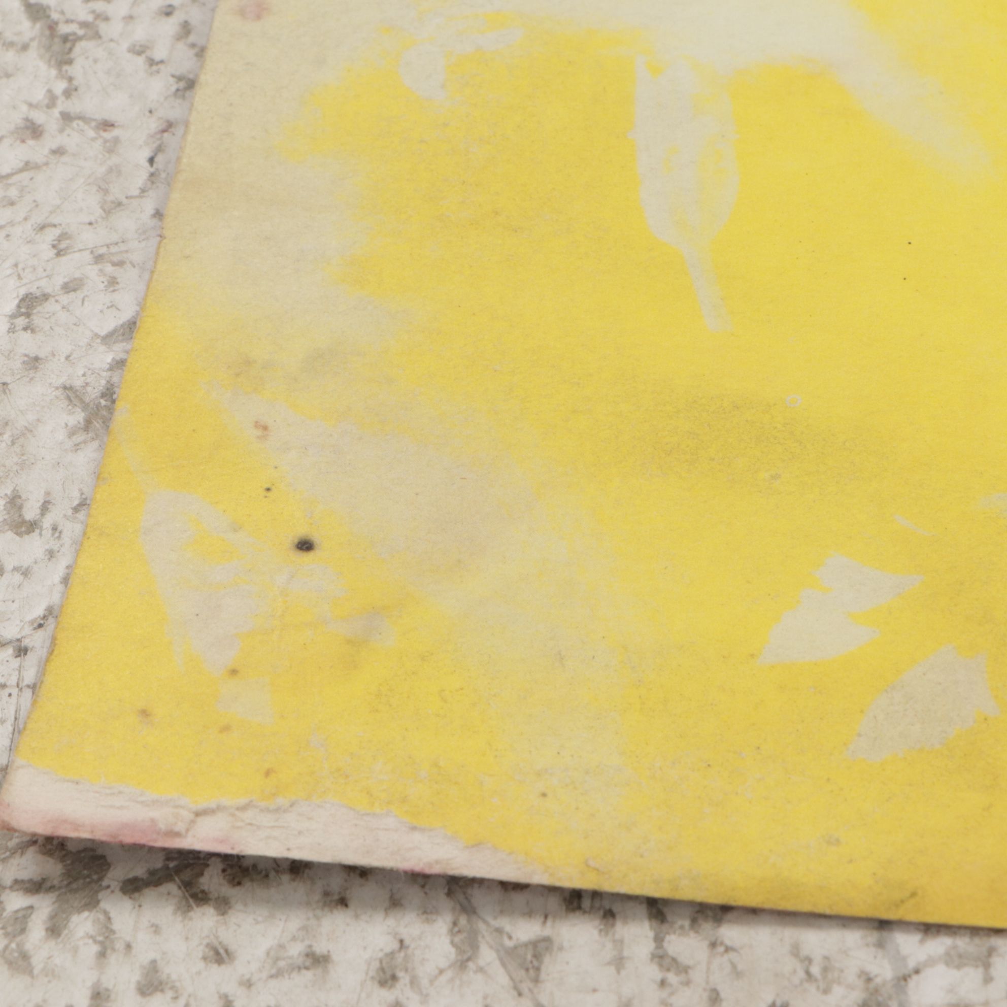 Grateful Dead, Linda Ronstadt, Madonna & Other Album Posters