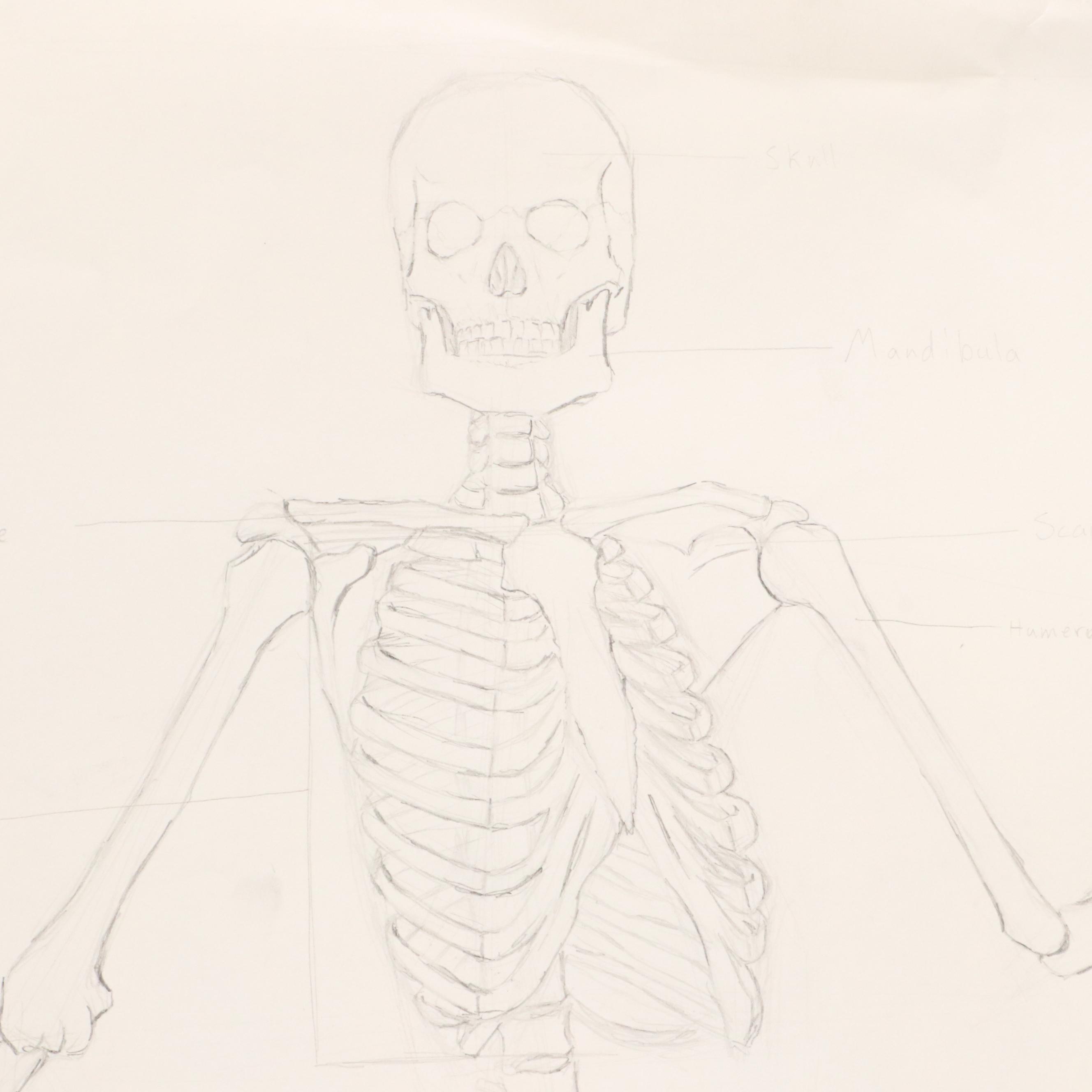 Ben Farrell Graphite Drawings of Figure Studies, 2010s