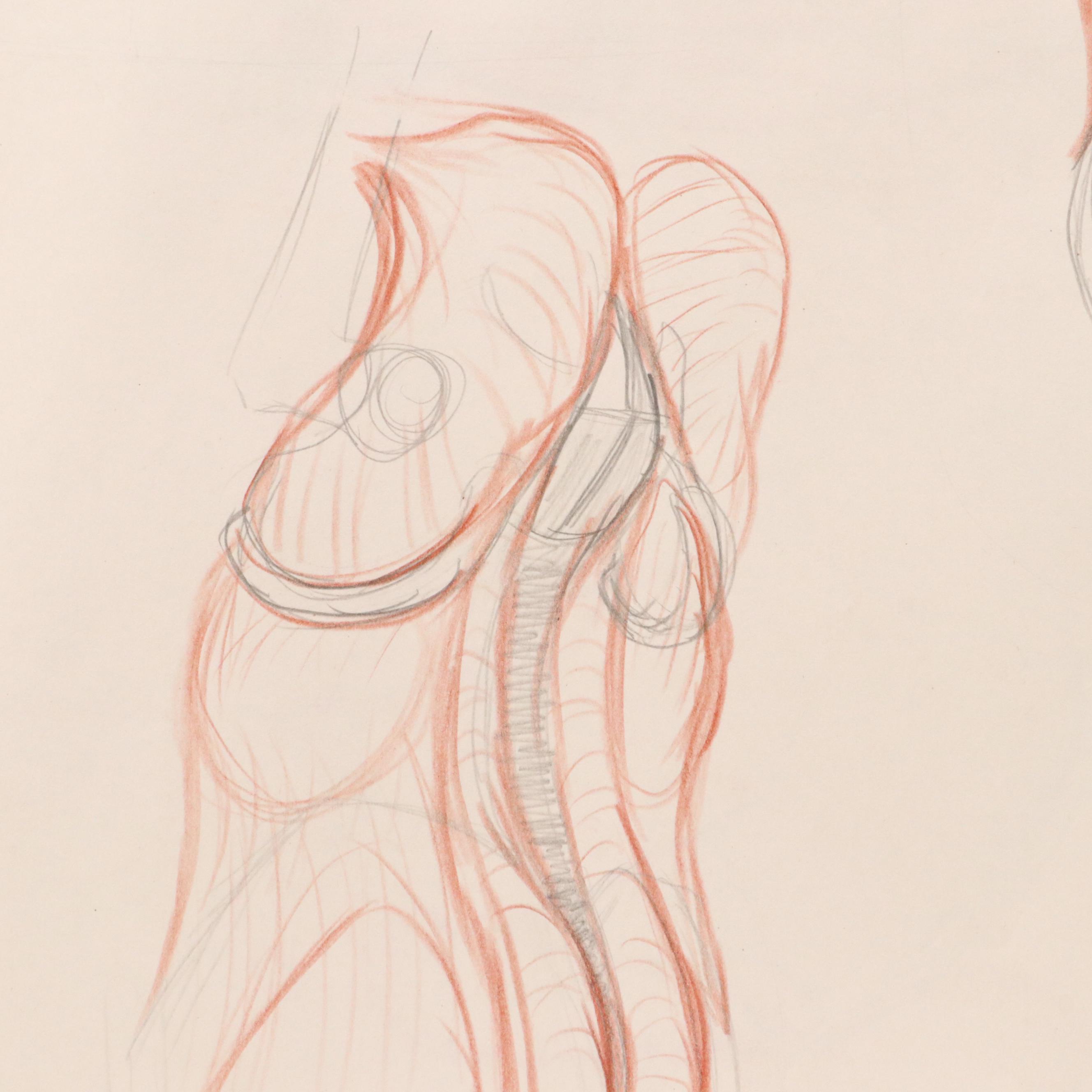 Ben Farrell Mixed Media Drawings of Figure Studies, 2010s