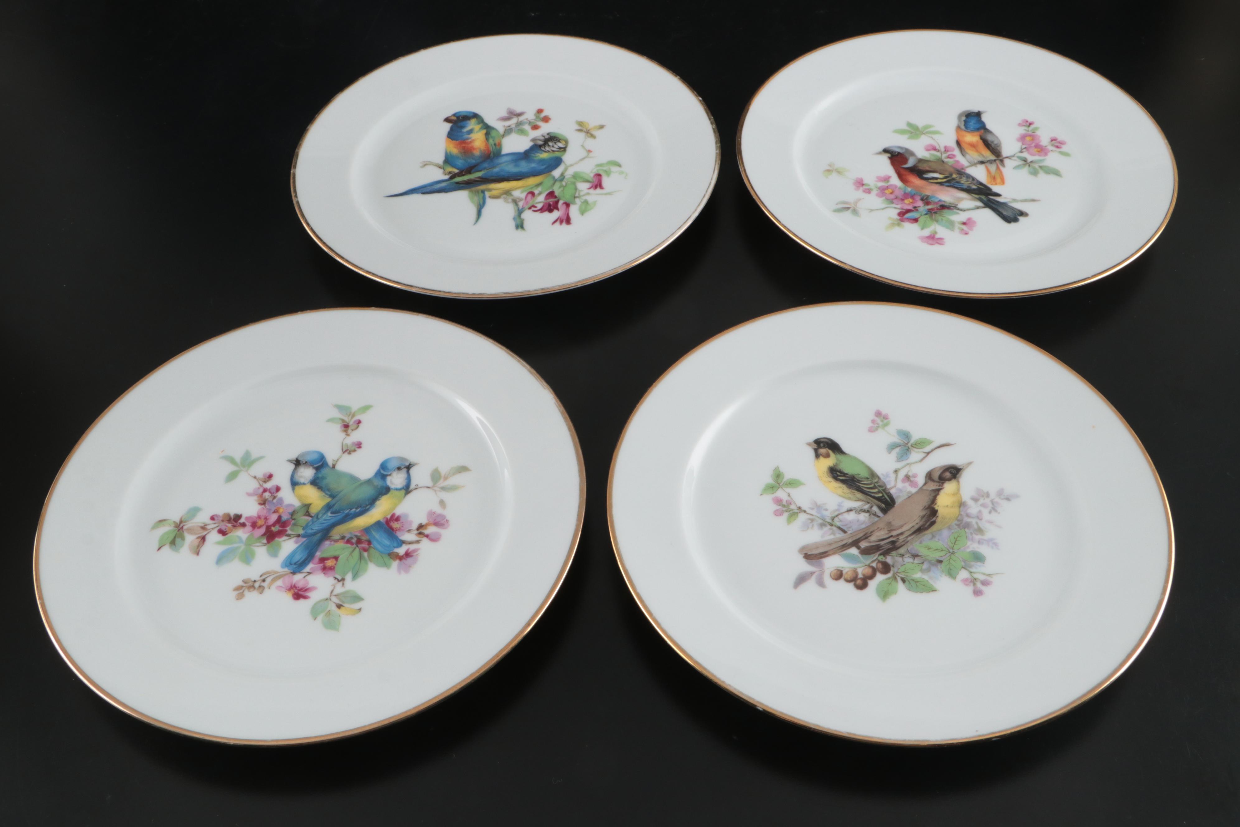 Germany Porcelain Bird Plates with Other Décor
