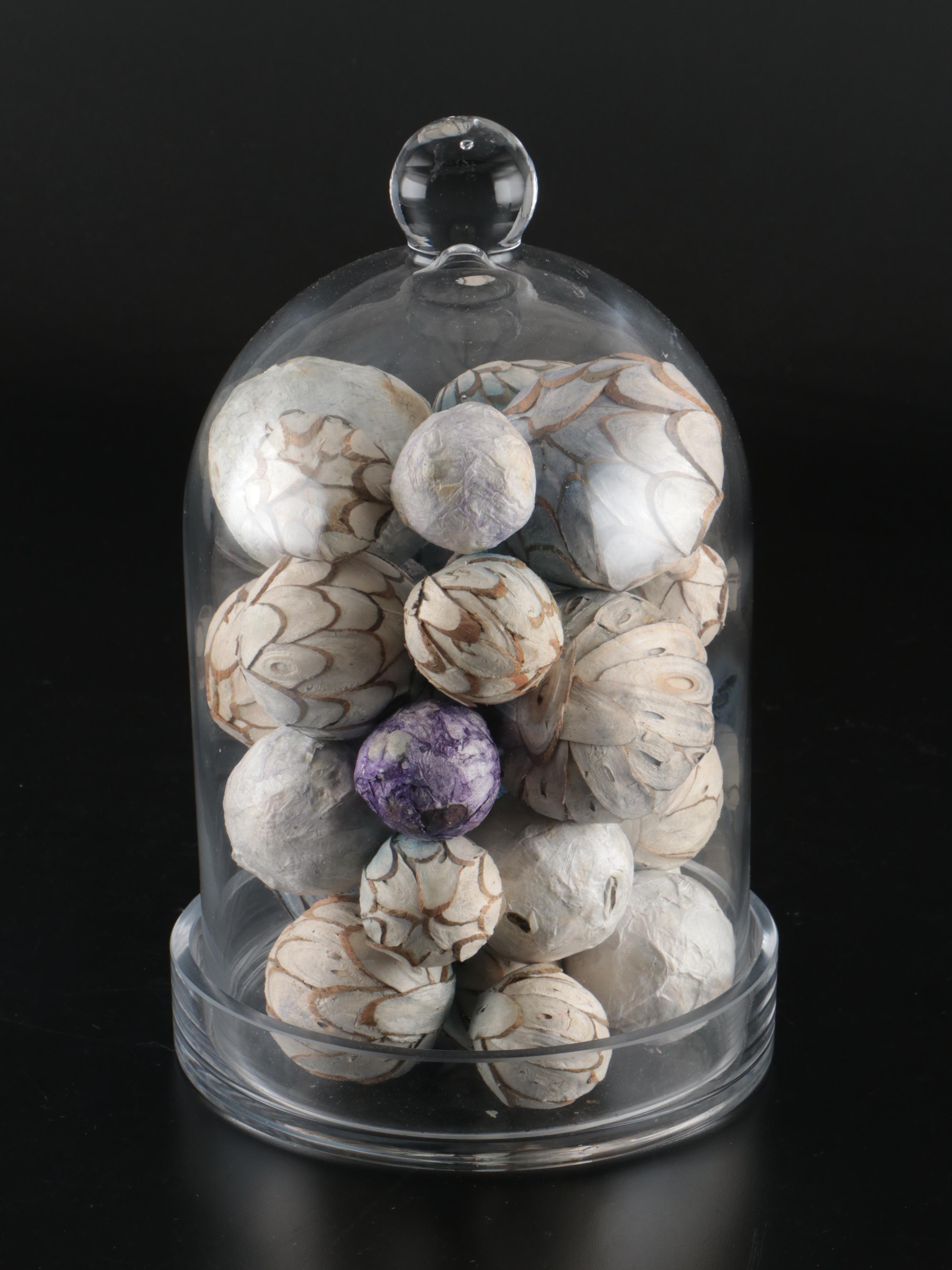 Germany Porcelain Bird Plates with Other Décor