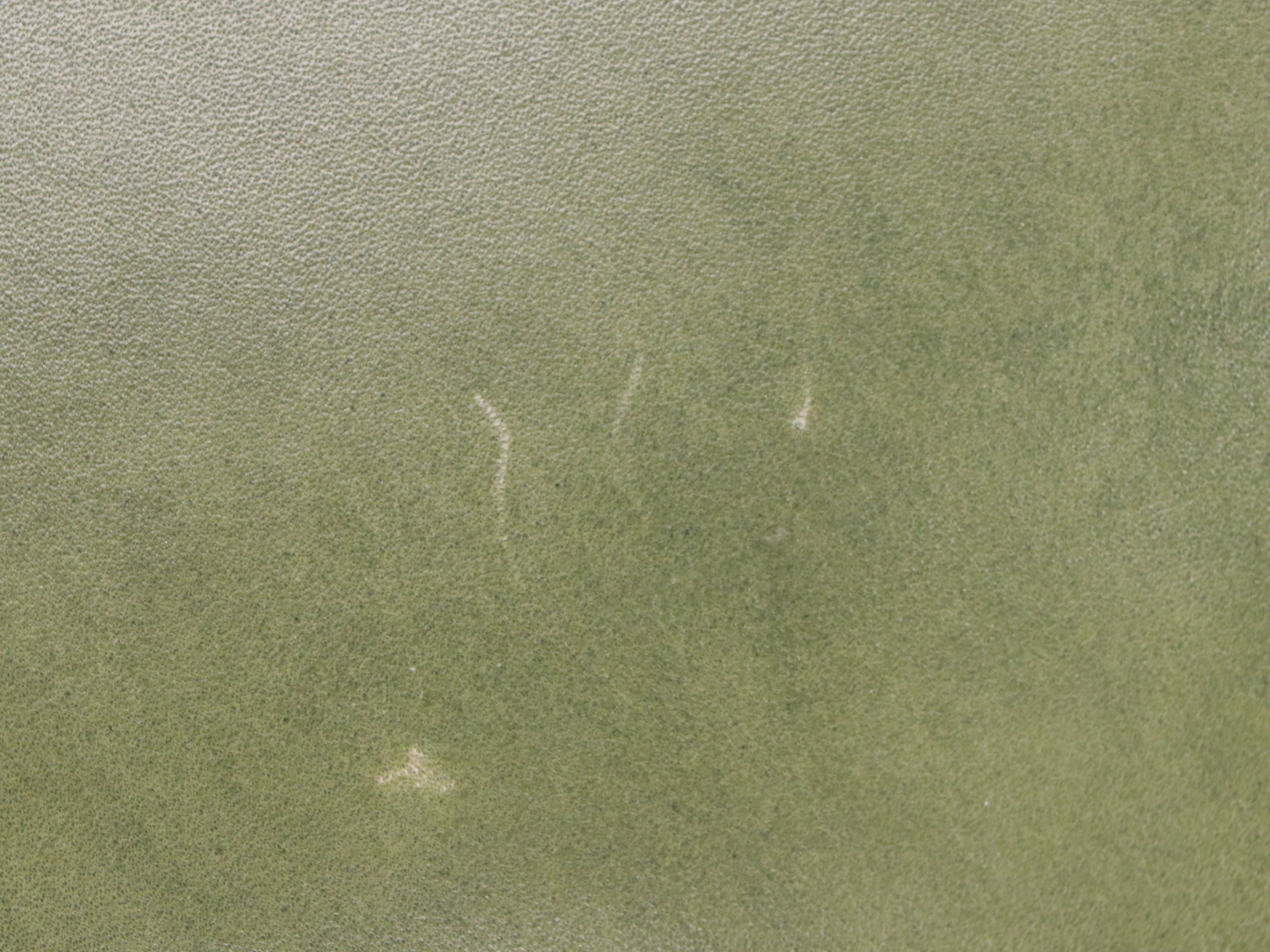 Pair of Karges "Prince of Wales" Mahogany Armchairs with Leather Upholstery