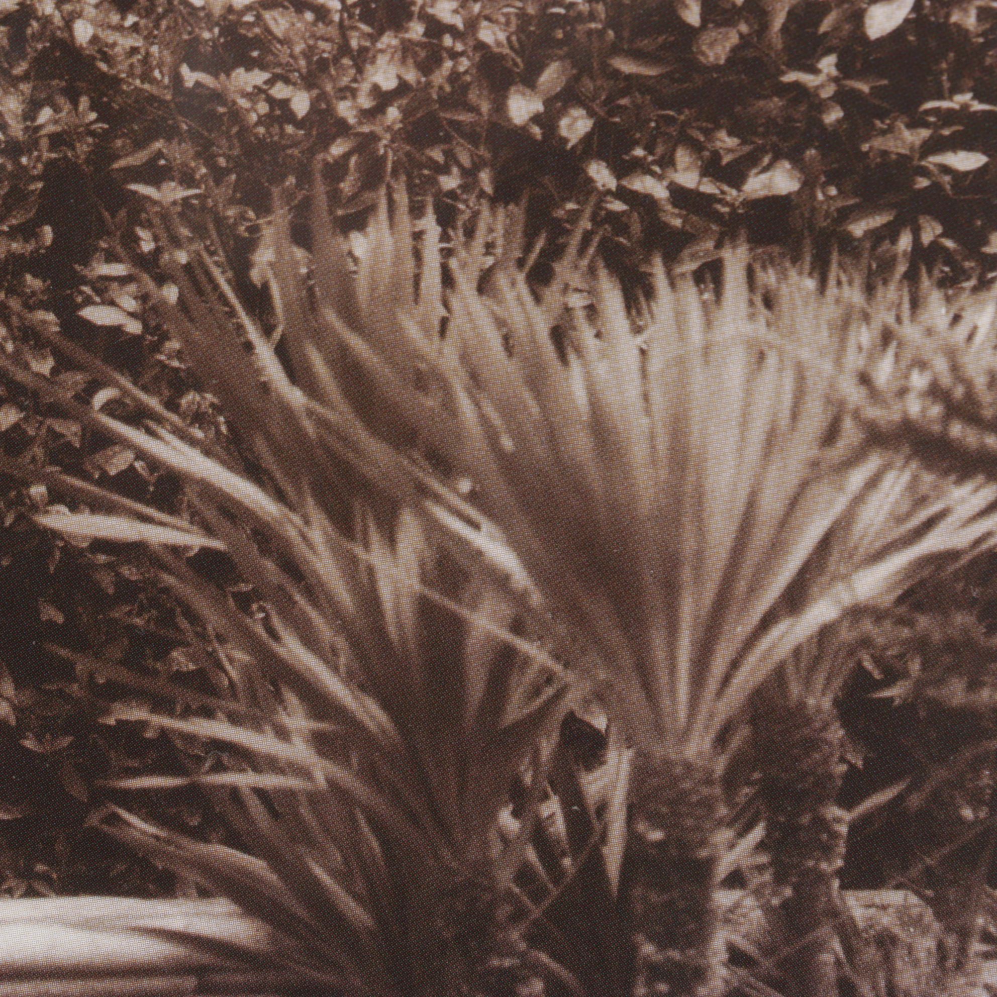 Sepia Toned Giclée After Alan Blaustein "Galliera Veneta, Padova"