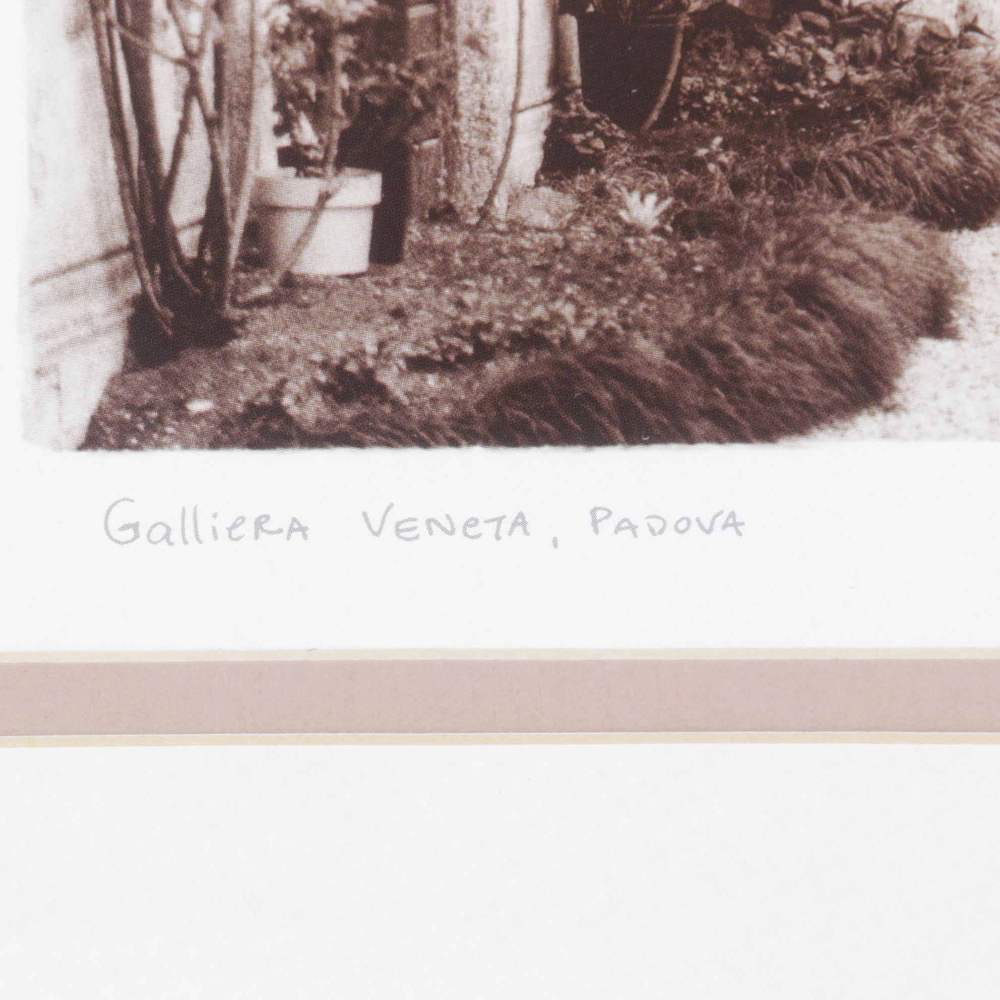 Sepia Toned Giclée After Alan Blaustein "Galliera Veneta, Padova"