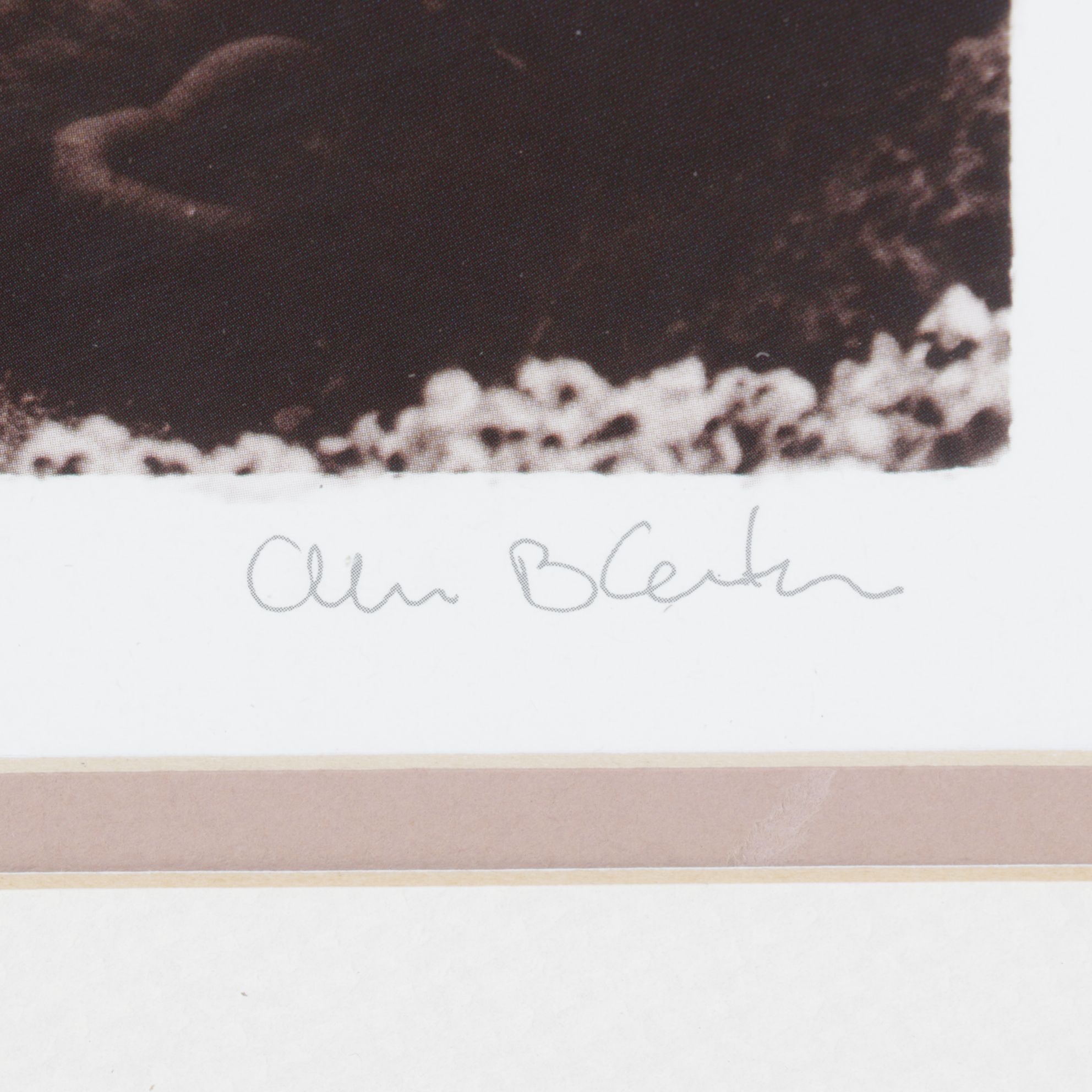 Sepia Toned Giclée After Alan Blaustein "Galliera Veneta, Padova"