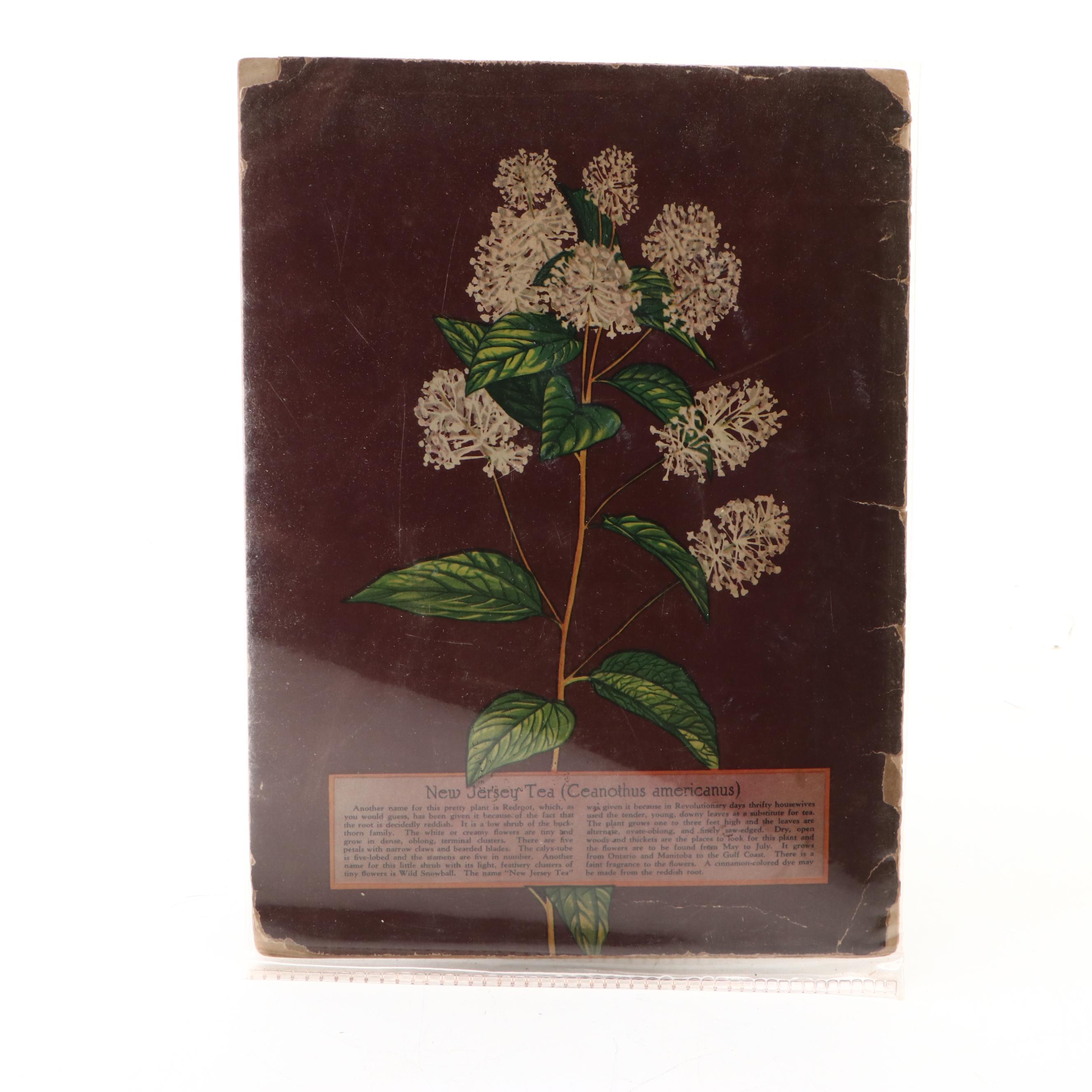 "Wild Flowers We Know" and "Old Mother West Wind" by Thornton W. Burgess