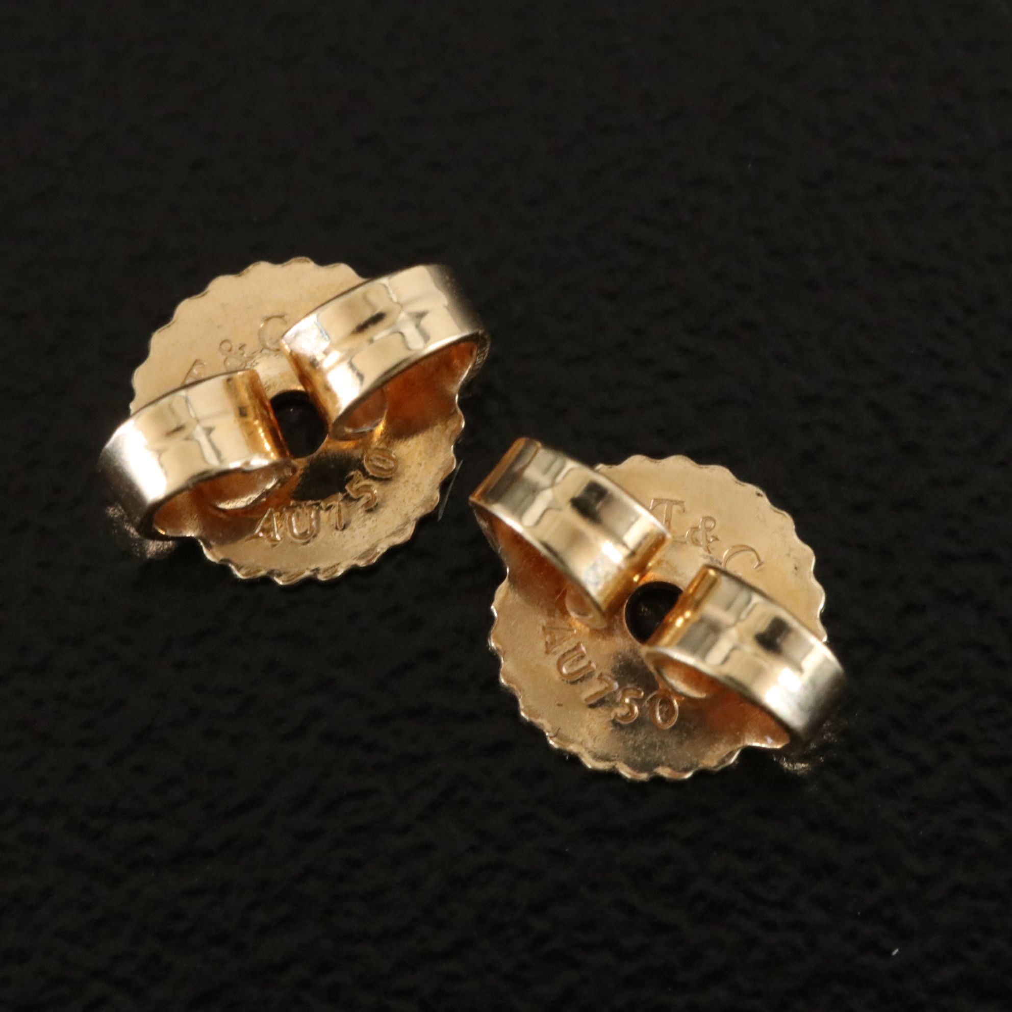 Elsa Peretti for Tiffany & Co. By the Yard 18K 0.20 CTW Diamond Earrings