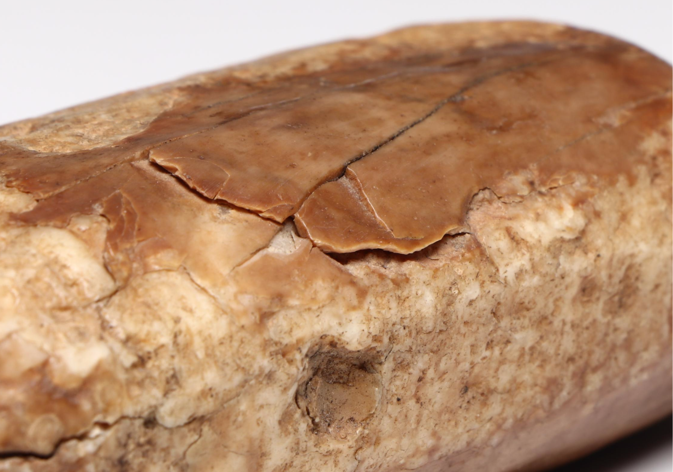 Indigenous Subarctic Carved Hunting and Fishing Implements